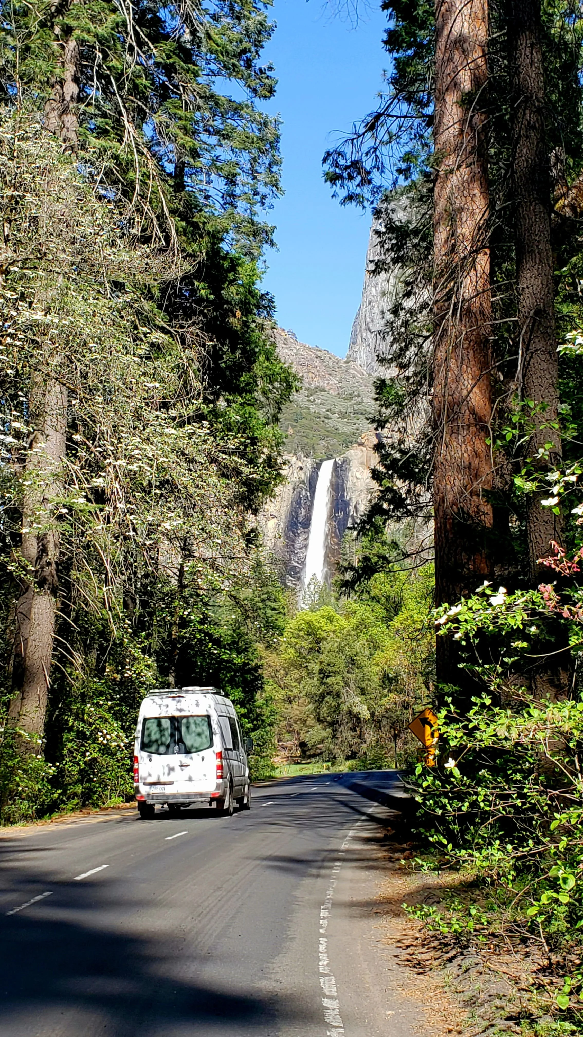 Drive with view of Bridalveil Fall