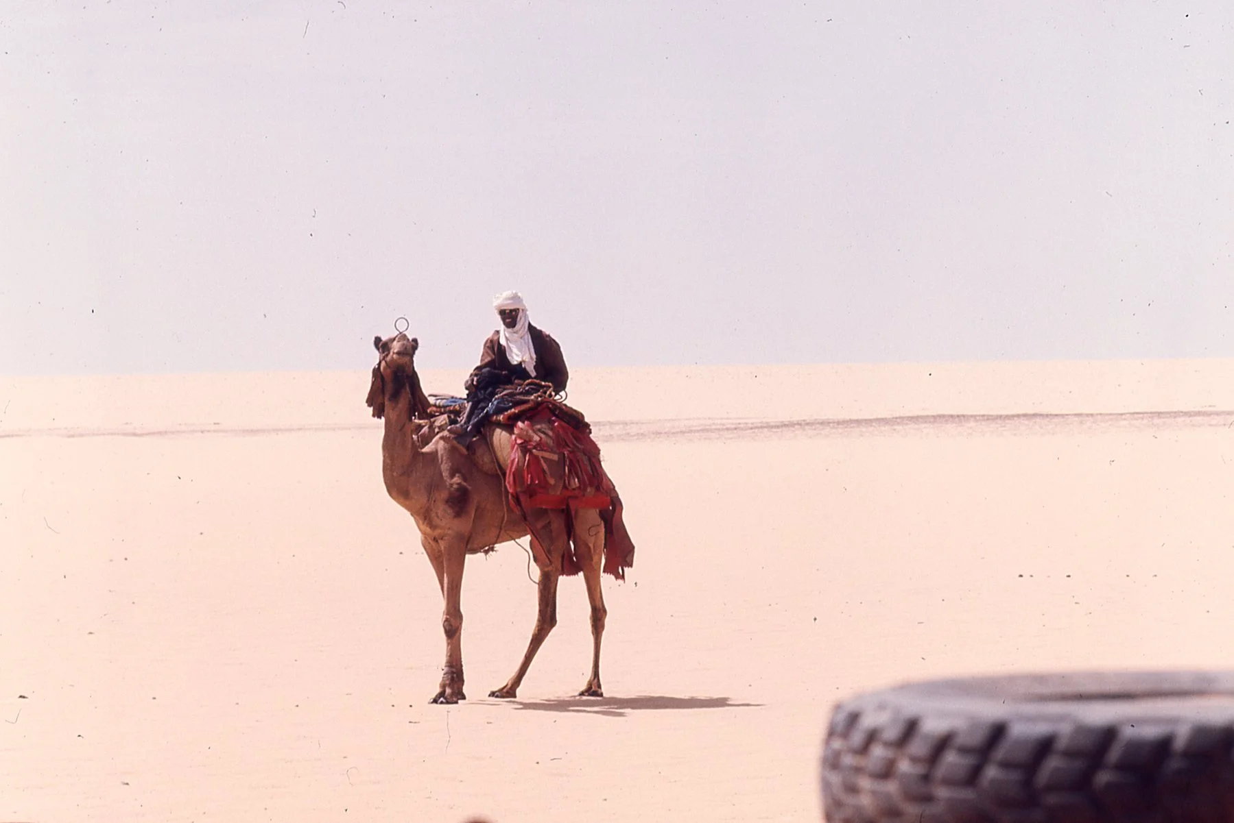 niger tenere.jpg
