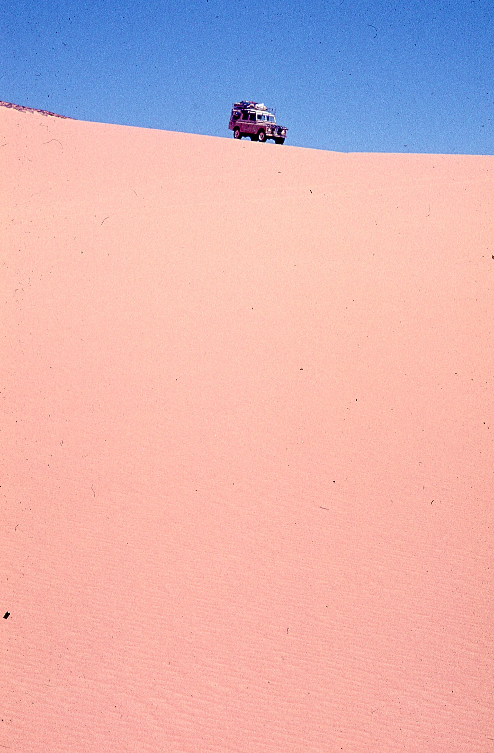 img111.jpg