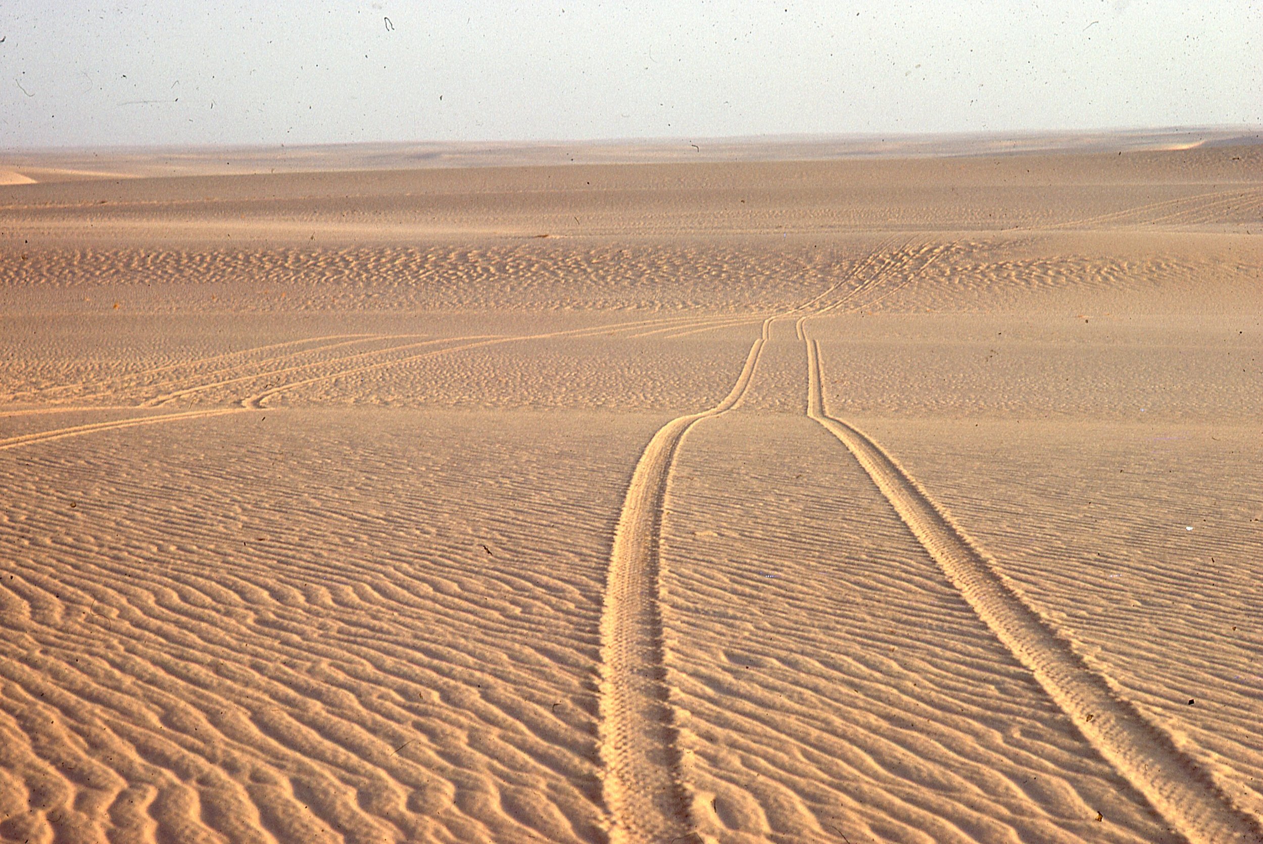 Tenere Desert
