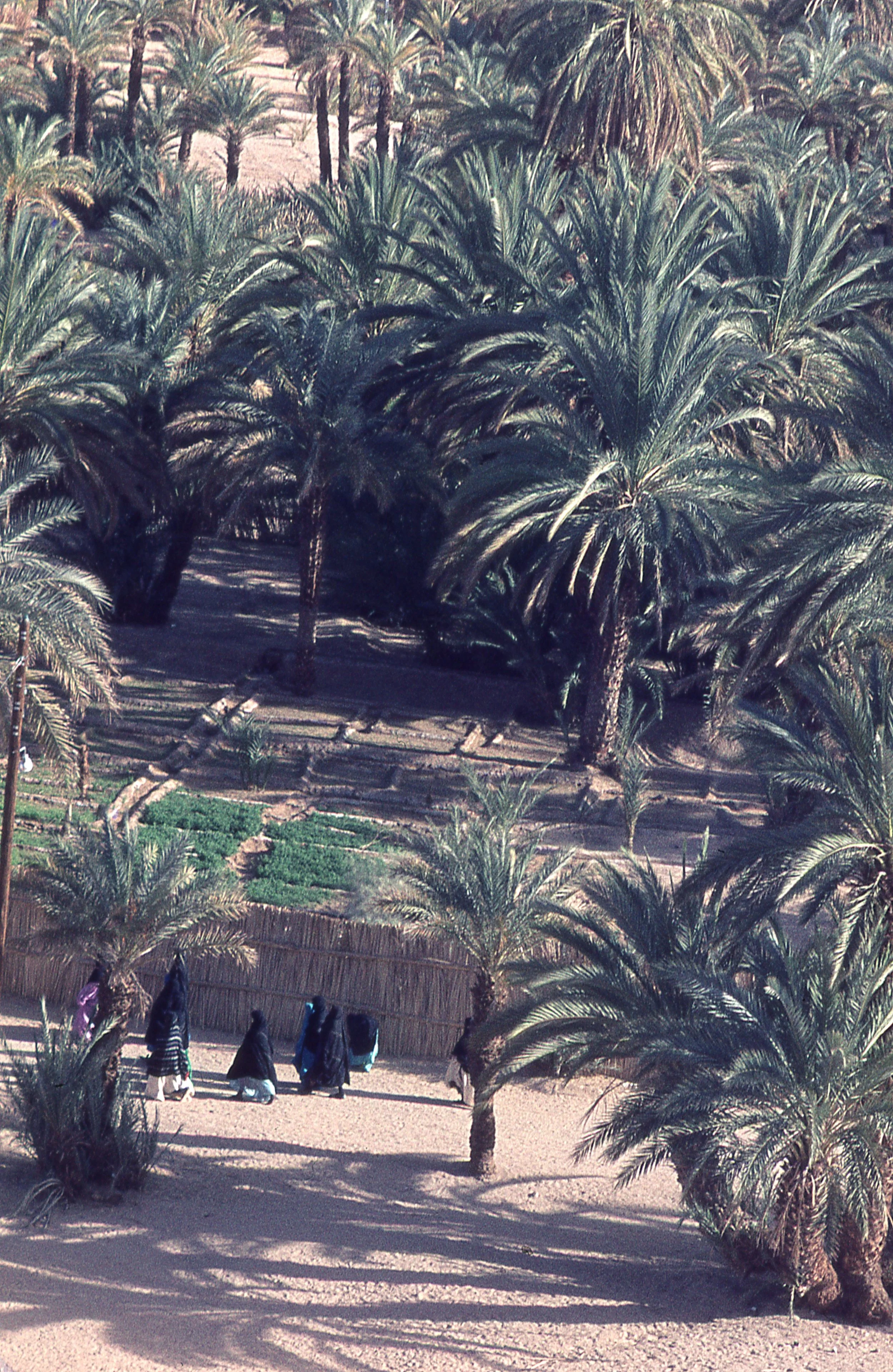morocco.jpg