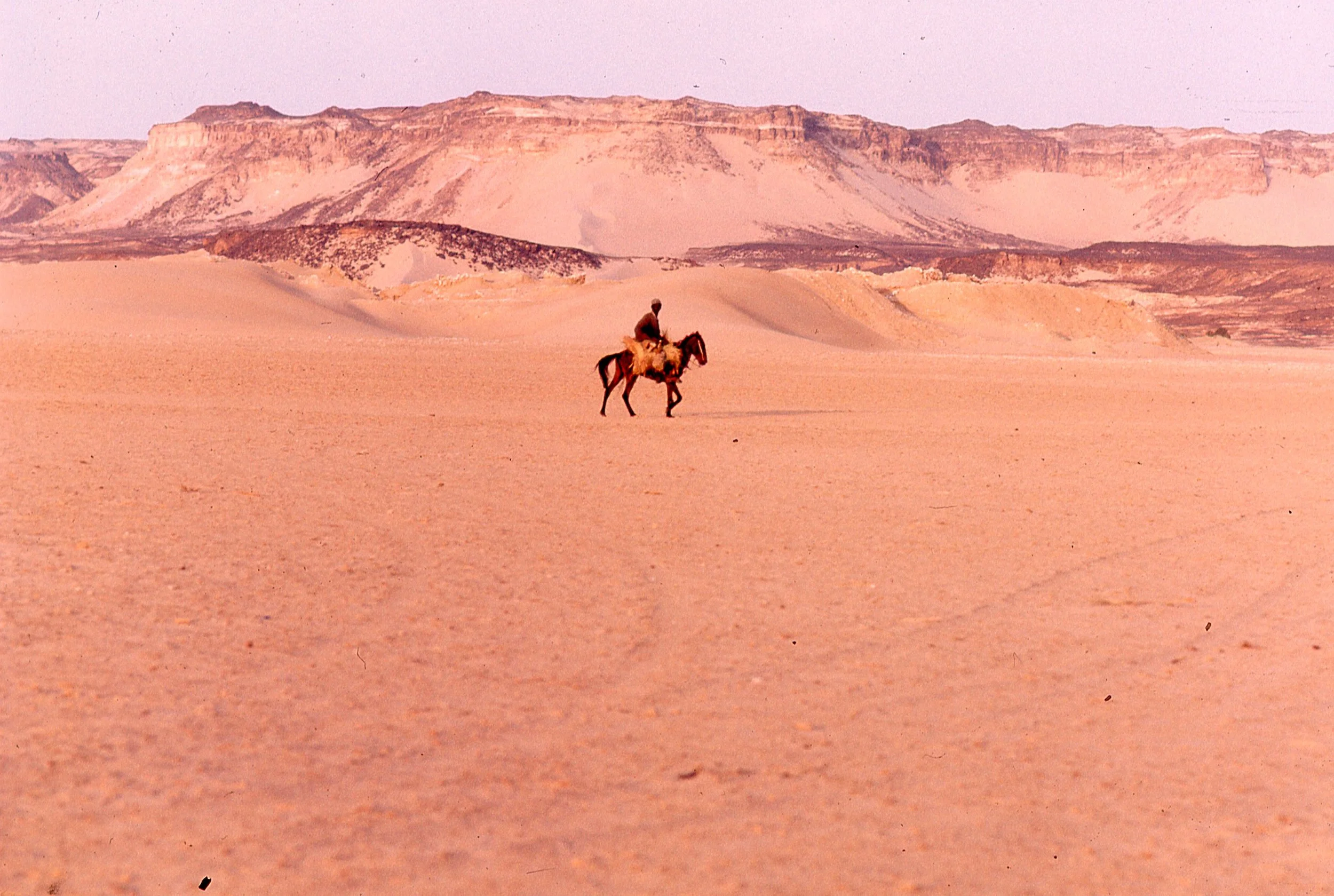 niger 12.jpg