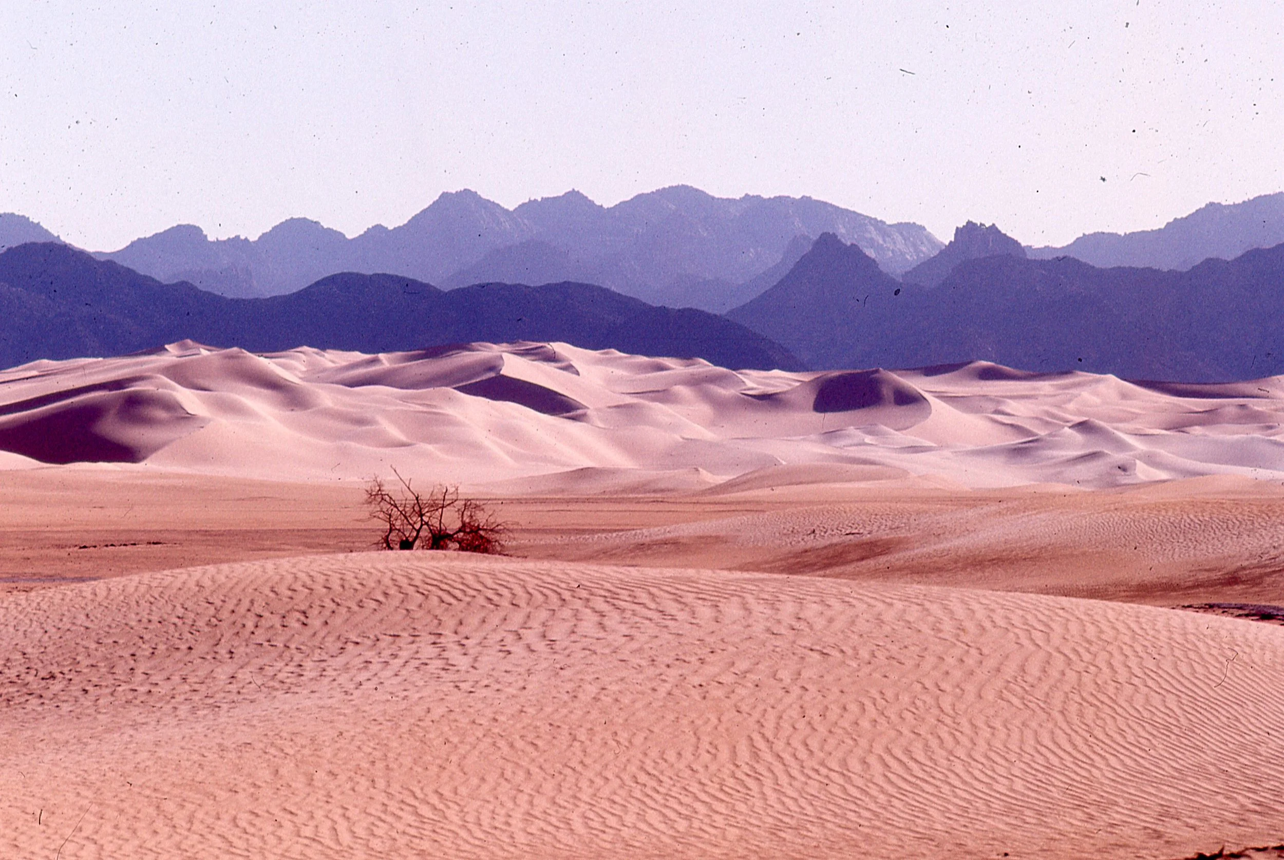 niger 11.jpg
