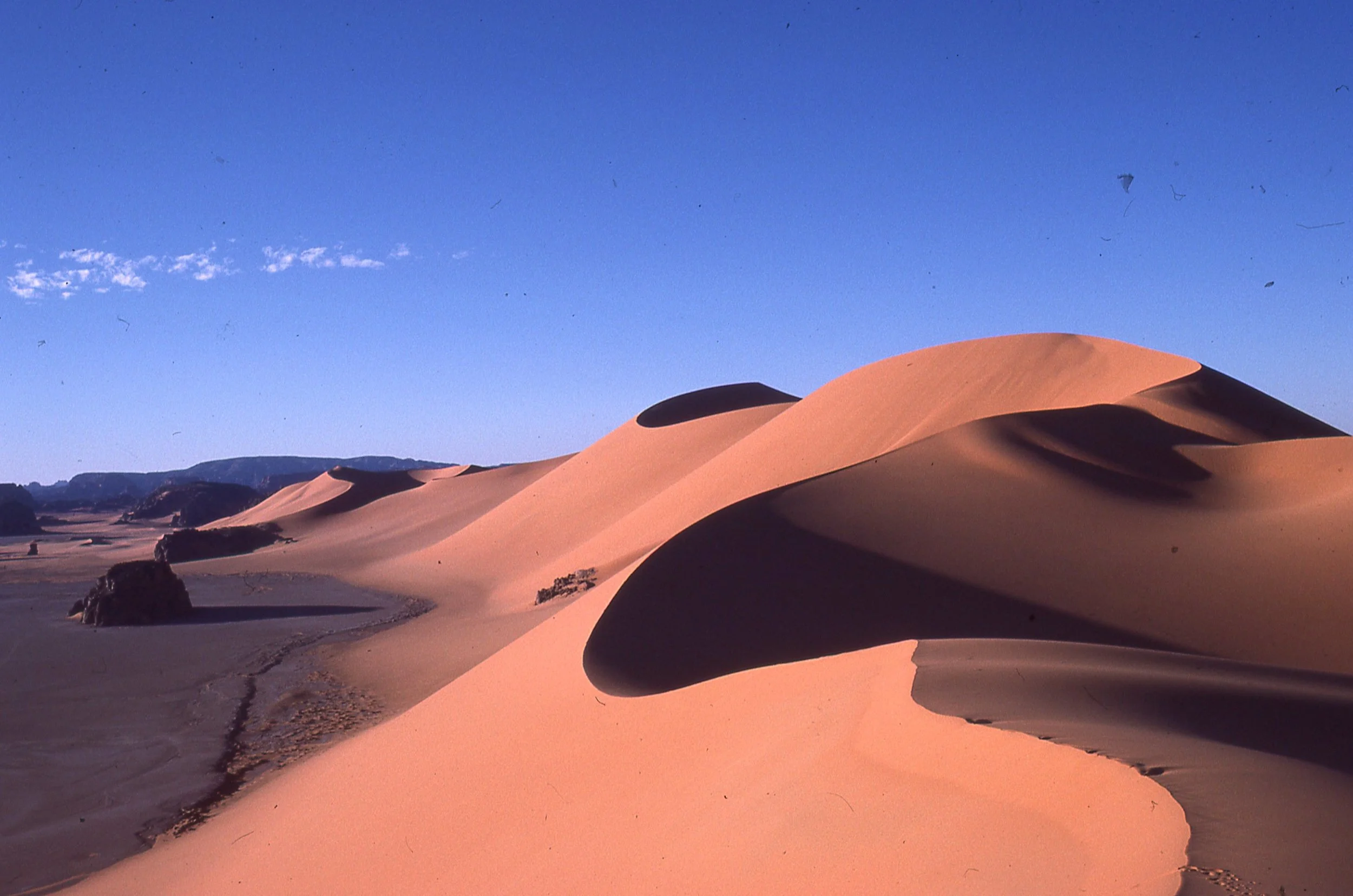 img105.jpg