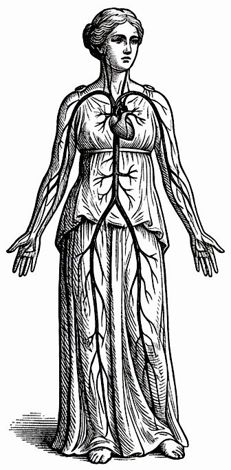 Illustration of a woman, old engraved style, concept of connecting with the heart