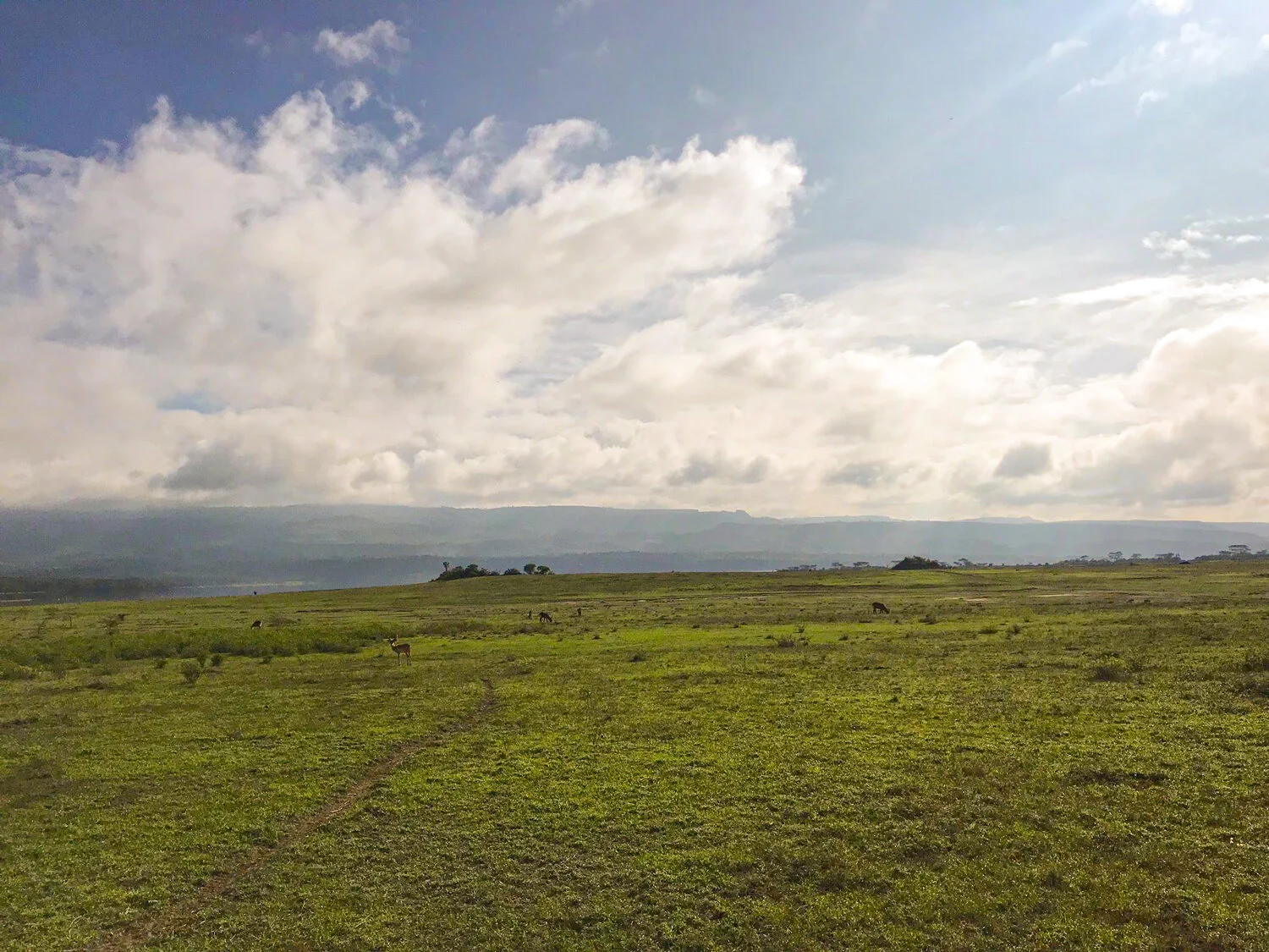 A Word From Our Board Chairman