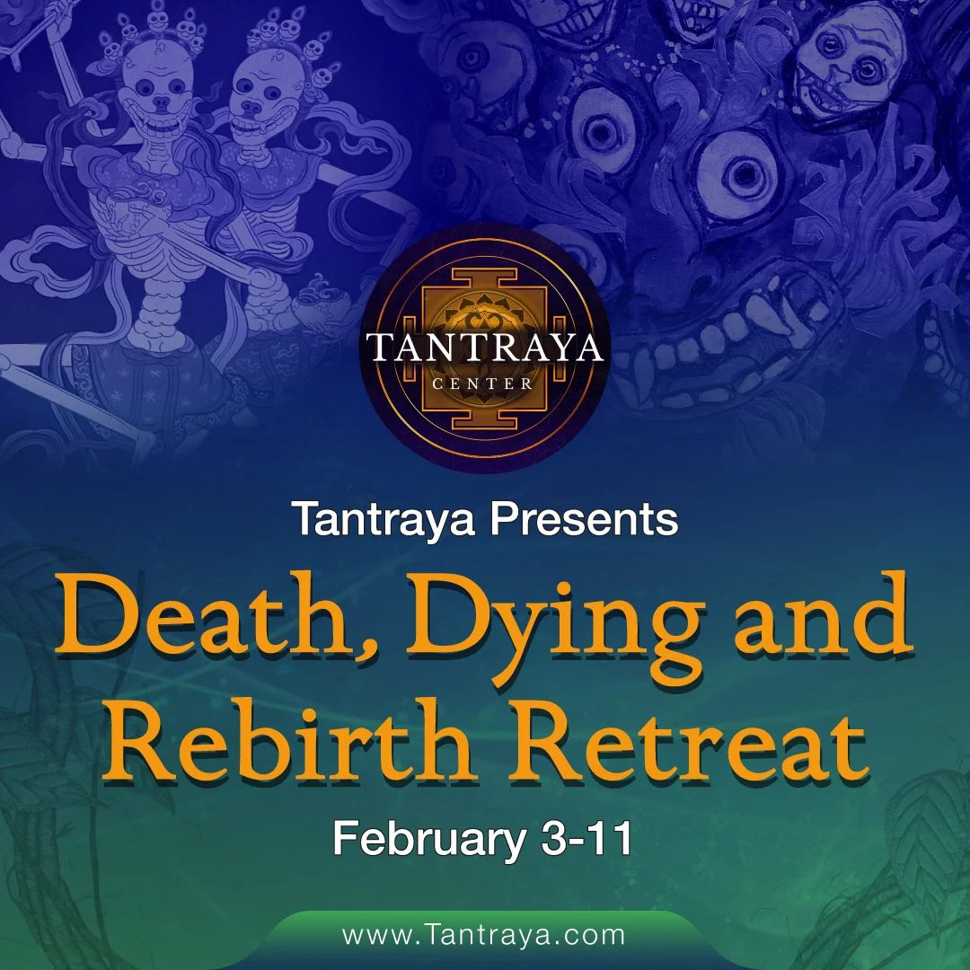 Special Intensive Ayahuasca Retreat | February