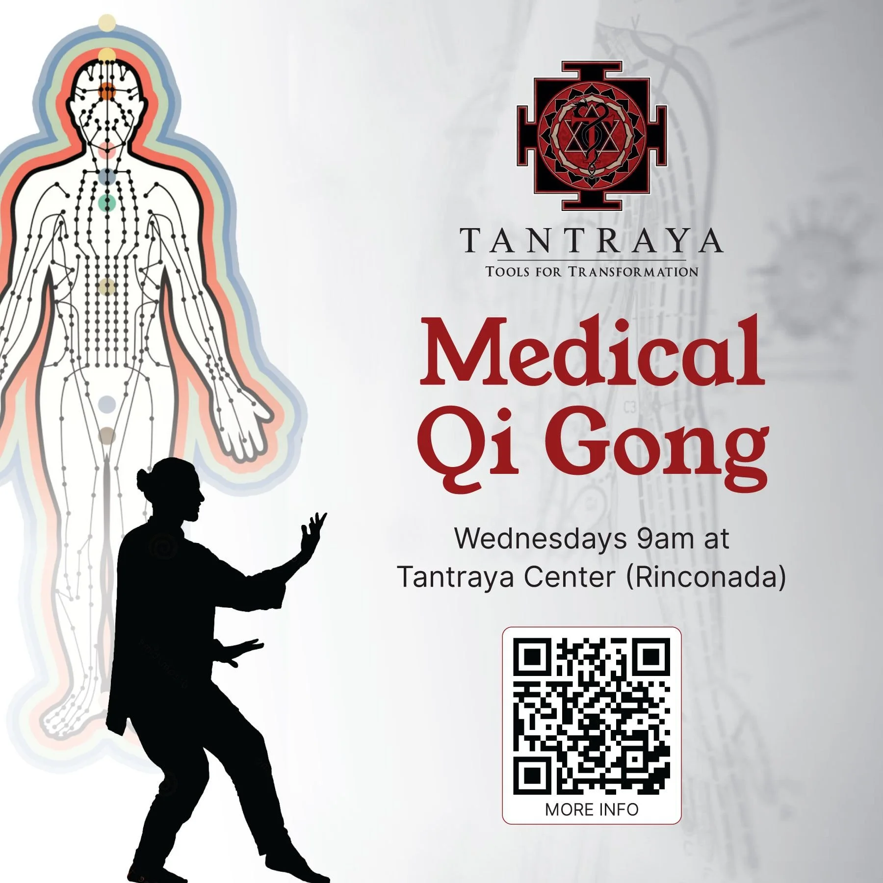 Medical Qi Gong Class                   