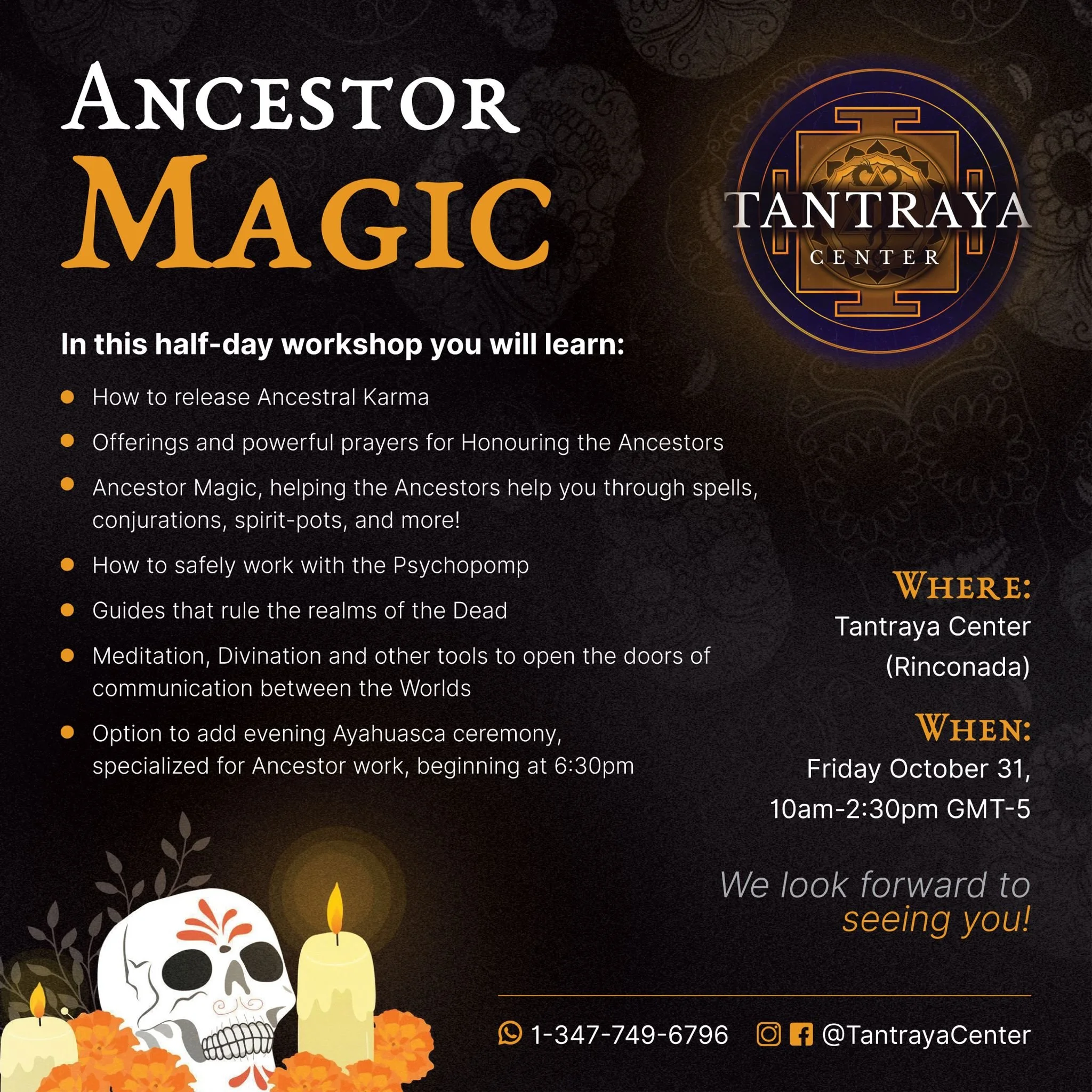 WhatsApp Image 2025-10-26 at 11.54.03_22d9c3e2.jpg