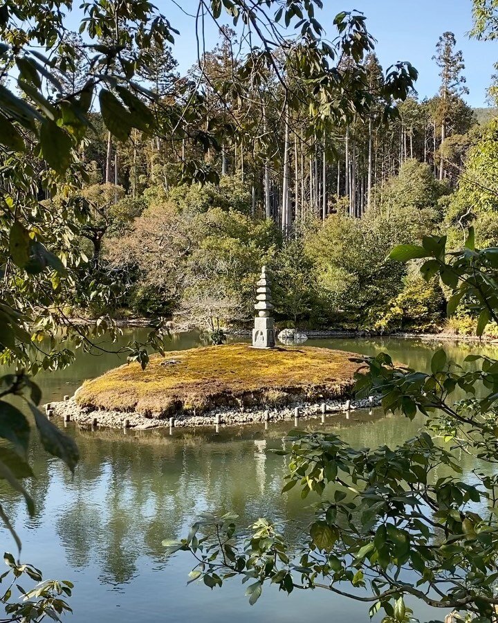 water stories, Japan: Kyoto, Tokyo, Hanazono 🧩