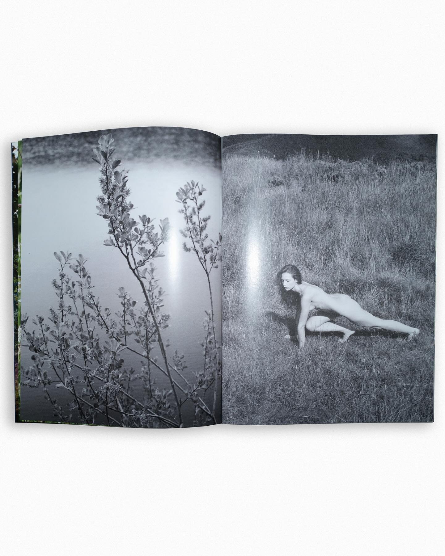 my first book, Making Hay, is available now 🖇️ 

First Edition of 250 copies. Every copy hand-signed and numbered. Available from the link in my bio and shipping soon.

The book is a love letter to where I grew up, a note-to-self about staying prese