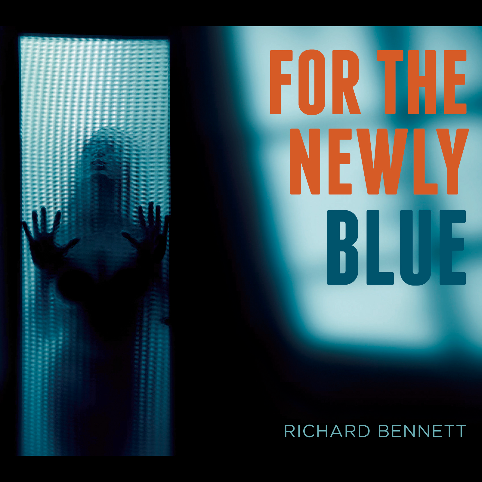 For The Newly Blue CD