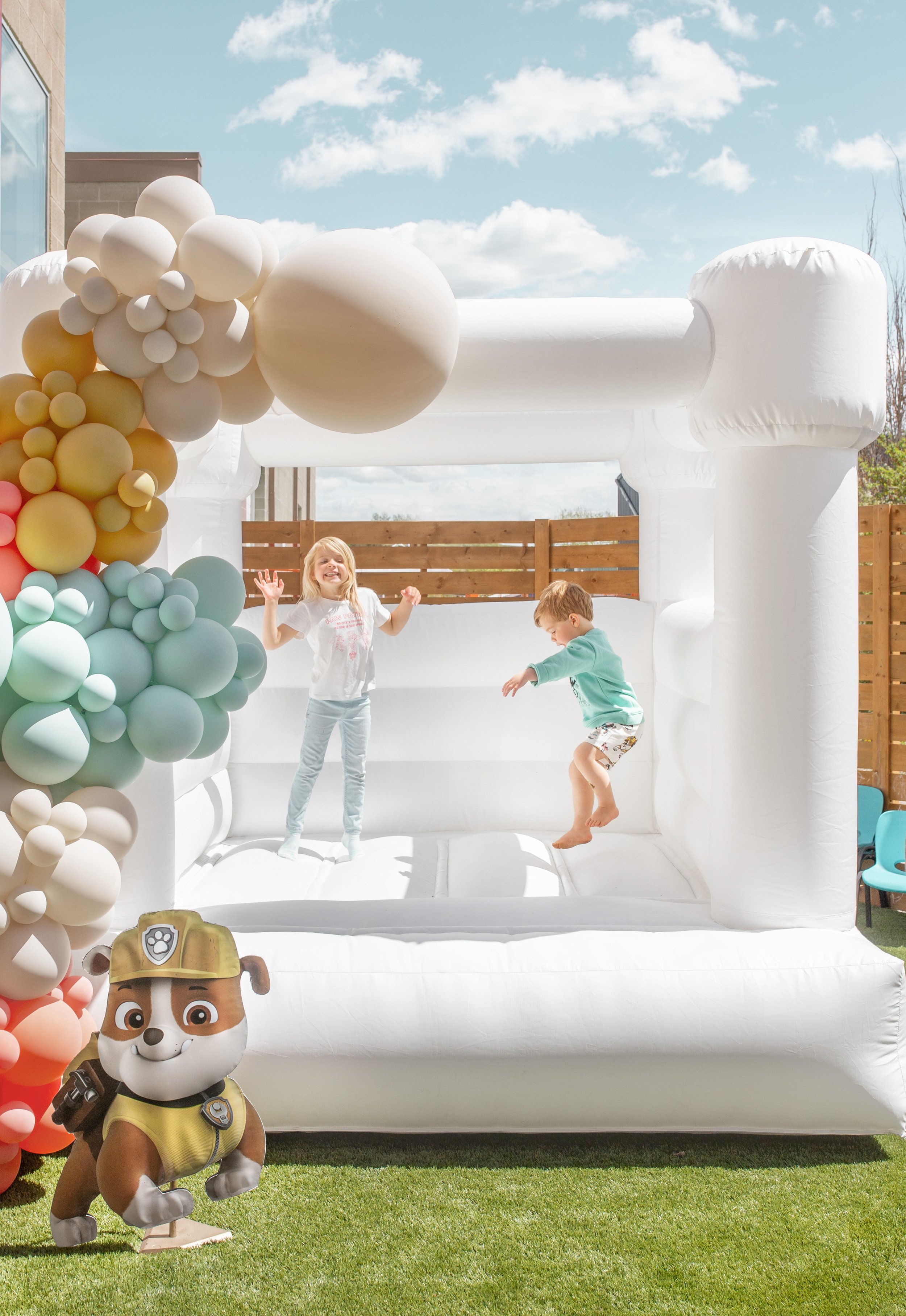 Modern Minimal Paw Patrol Party Emelbe Design