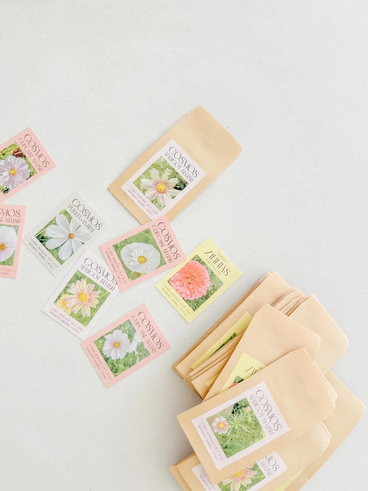 this is the first time I&rsquo;ve attempted to save my own seeds from my flowers! So here&rsquo;s hoping they actually work?! time will tell. at least my little seed packets are cute though, right? let me know if you&rsquo;d like any seeds (that may 