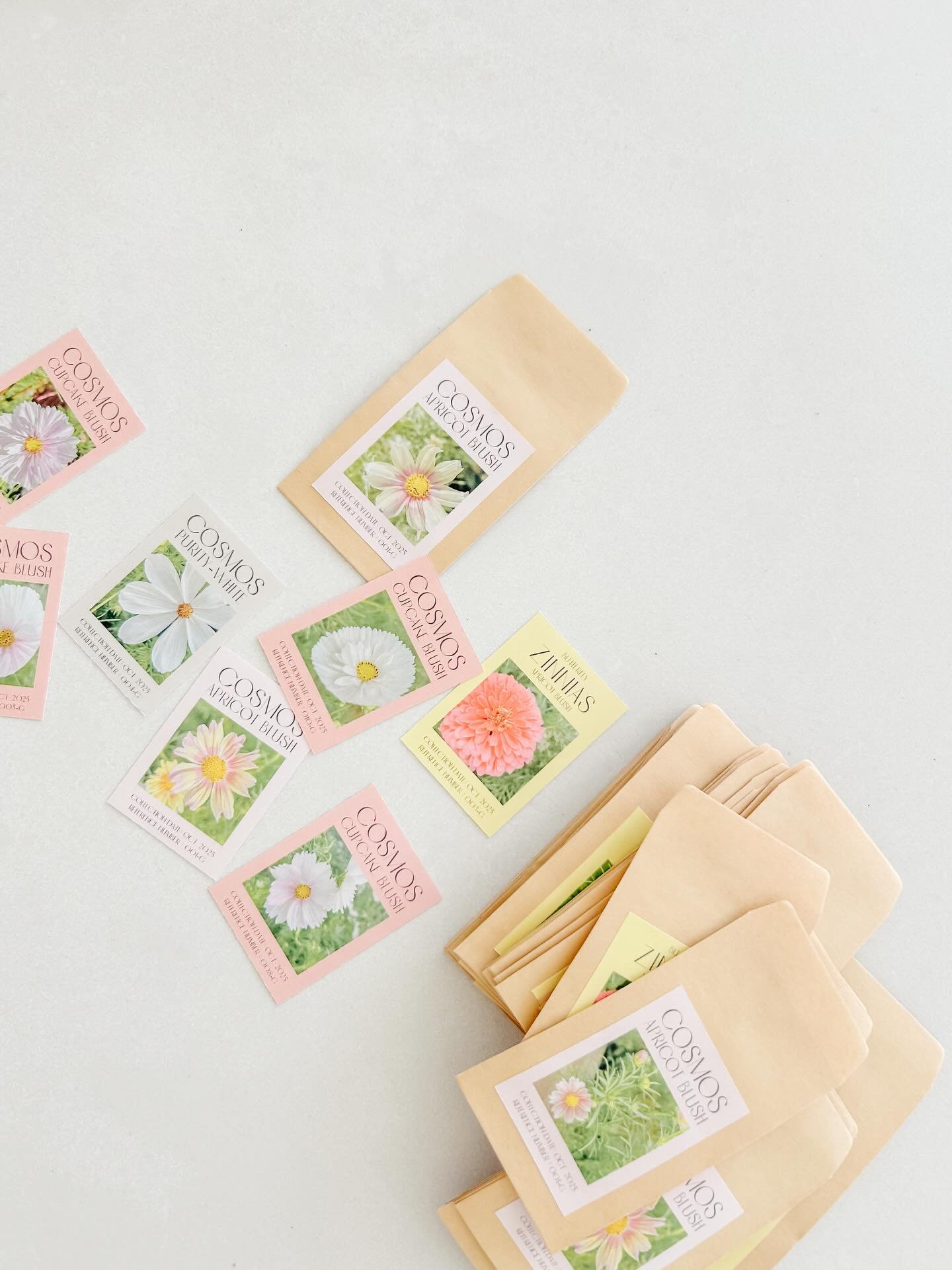 this is the first time I&rsquo;ve attempted to save my own seeds from my flowers! So here&rsquo;s hoping they actually work?! time will tell. at least my little seed packets are cute though, right? let me know if you&rsquo;d like any seeds (that may 