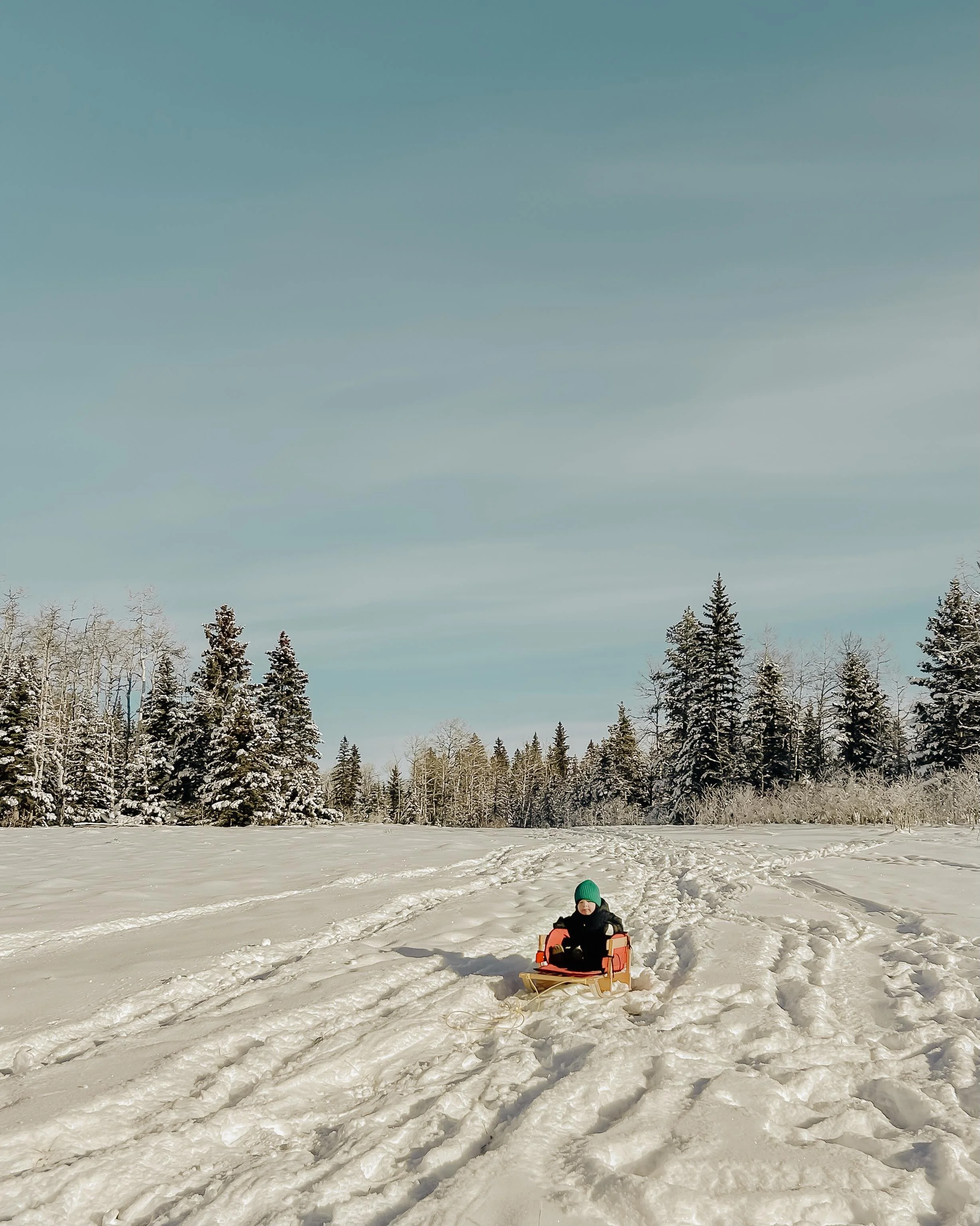🌲❄️🛷