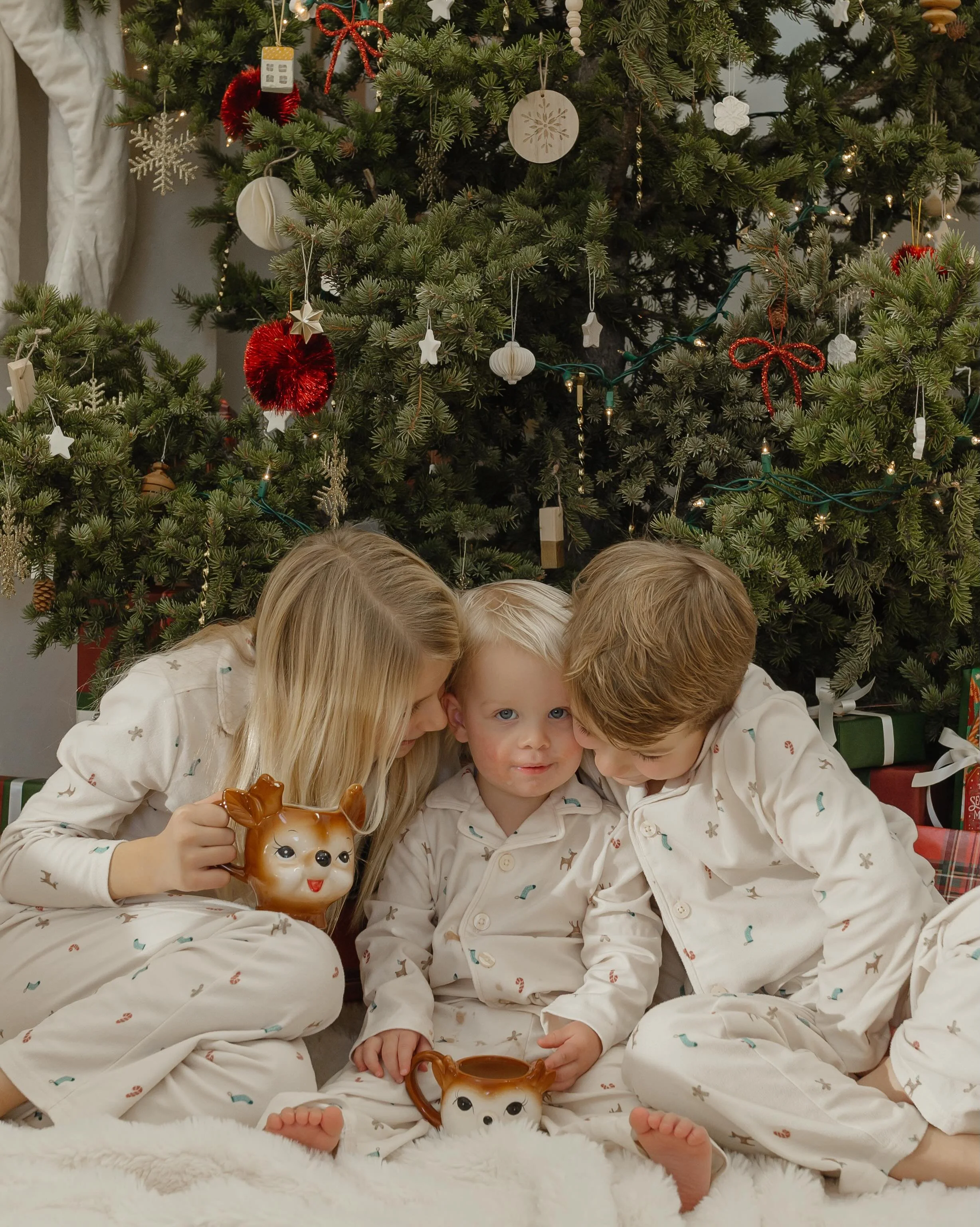 hot cocoa under the Christmas tree - I found a wee little reindeer mug so dewey could join in on the tradition this year. 🤍