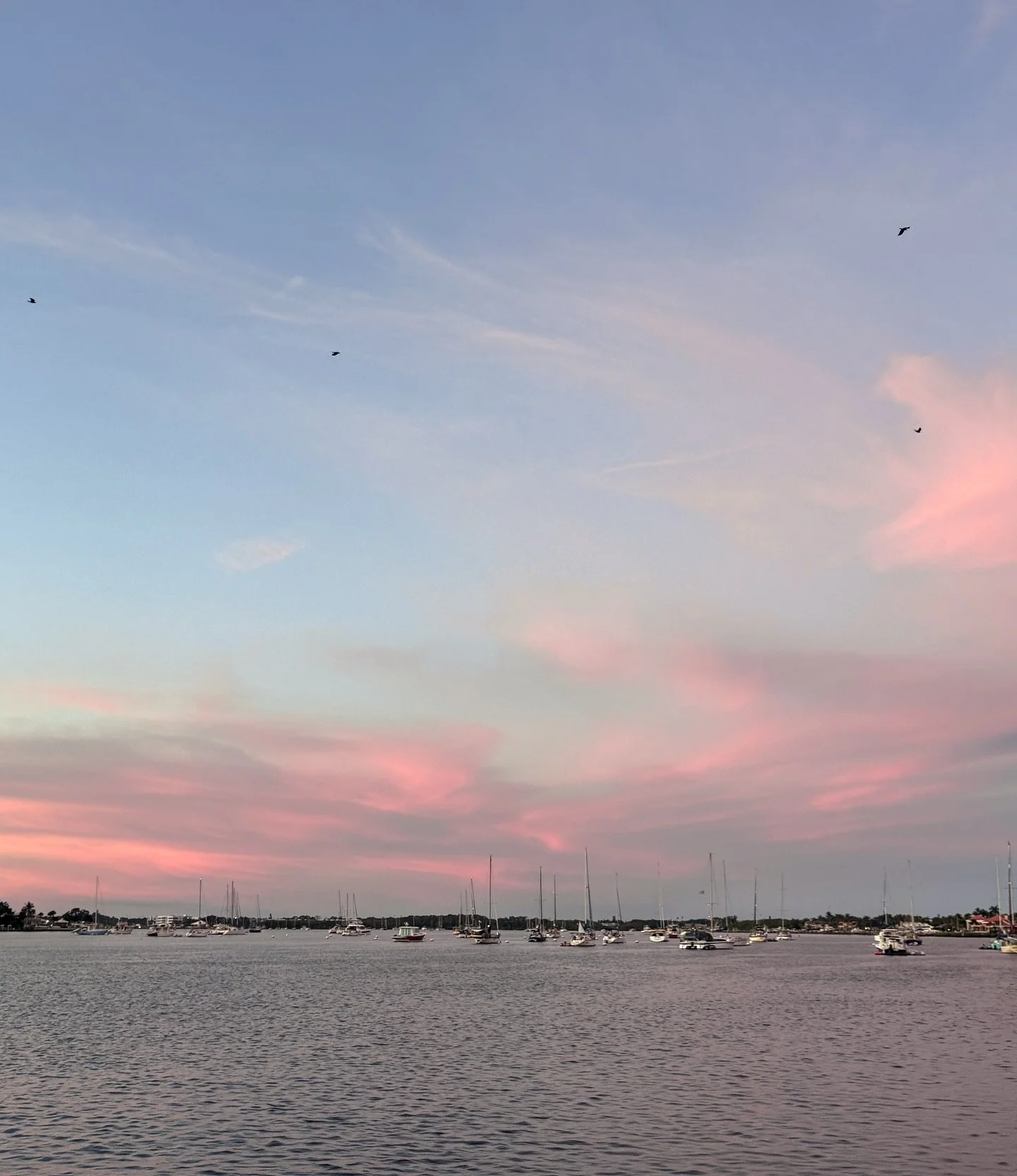 Good Morning 🌞 
Both shops open until 3 today 
🌹