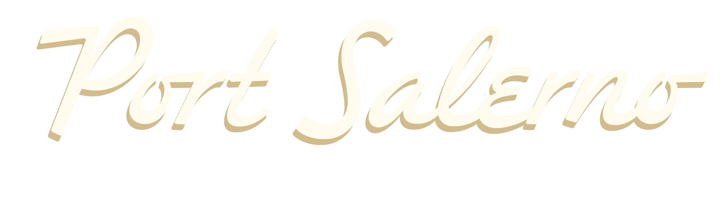 Stylized text logo reading 'Fort Salerno' in cursive font with a shadow effect.