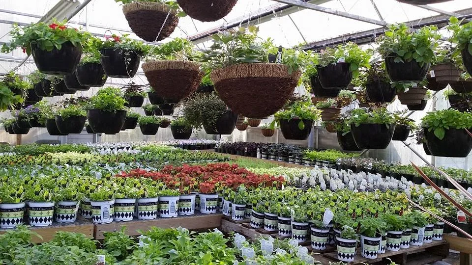 hanginggarden-LFN.jpg