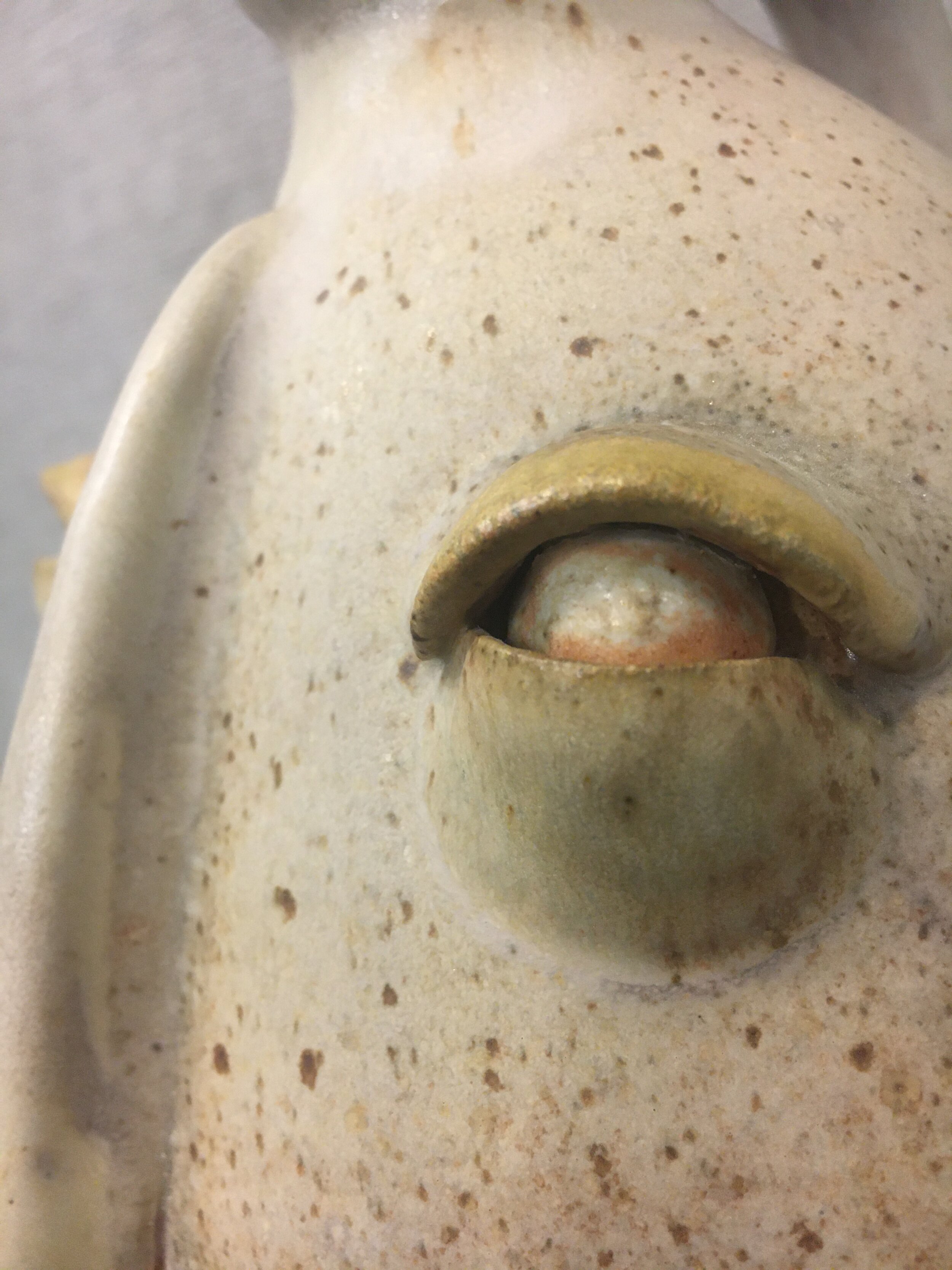 Face Jug - Detail 2 - Ric Lamore