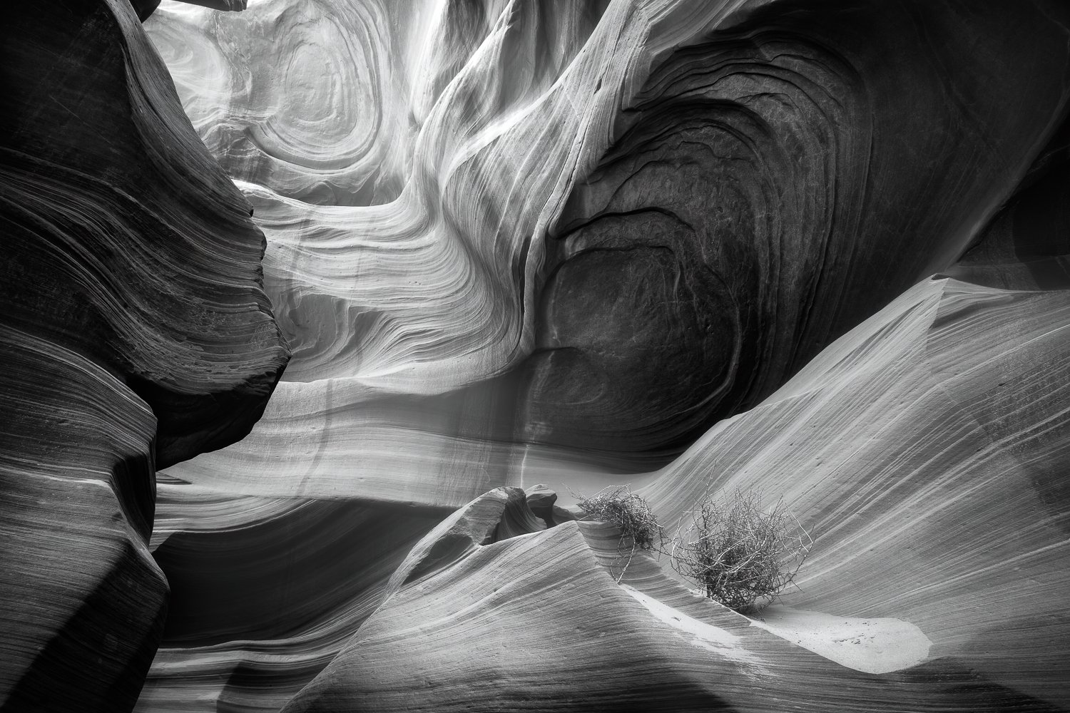 “Explorations: Photographs by Jeff McDonald” and “Around and Around” by Mary Nevicosi