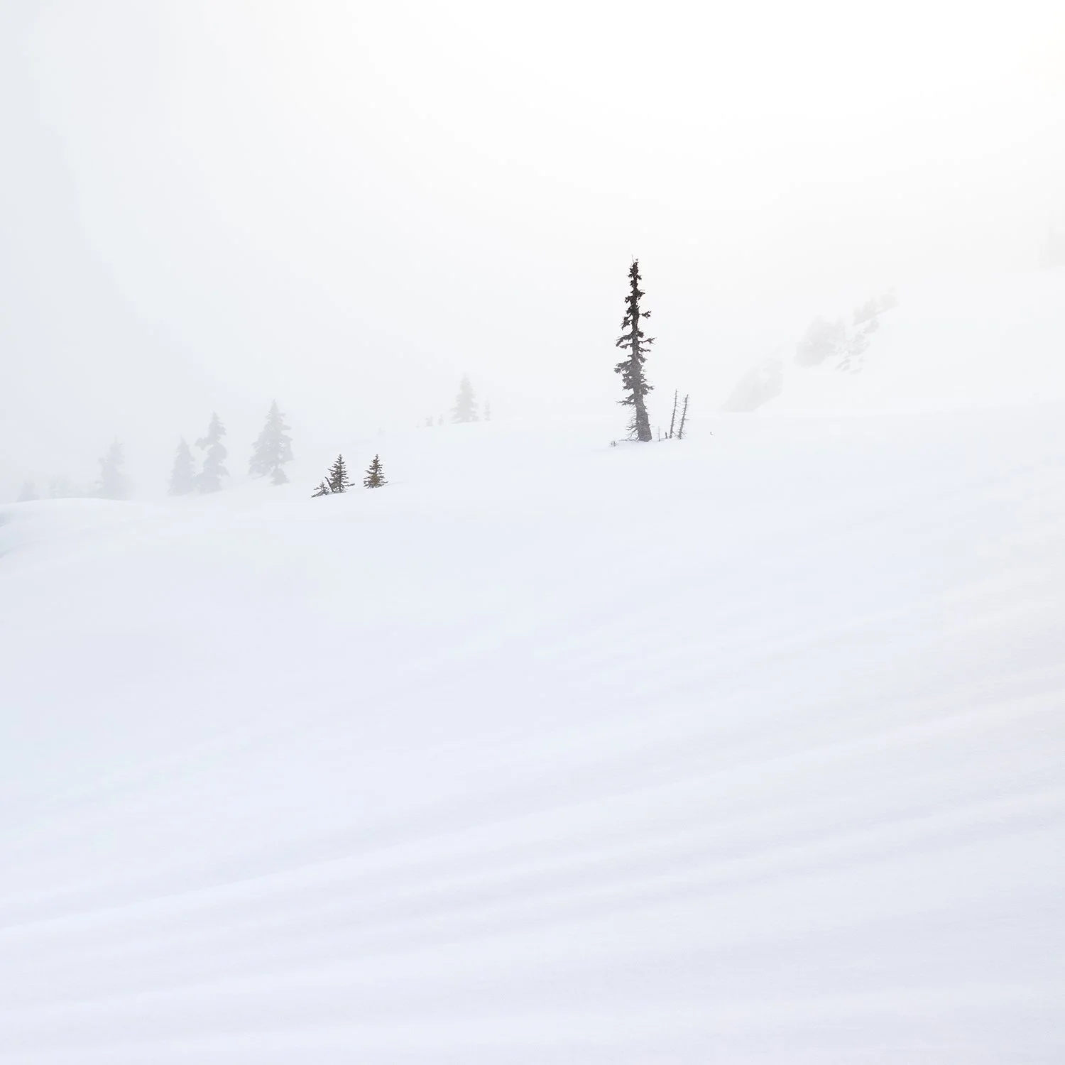 Winter's Carving