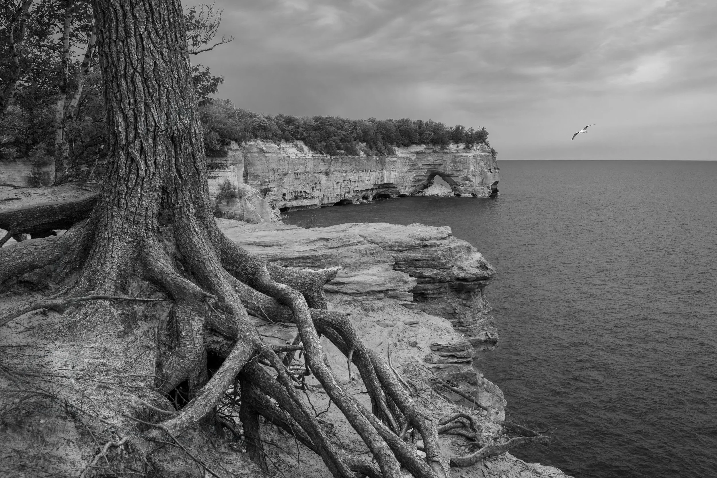 Pictured Rocks BW 2x3.jpg