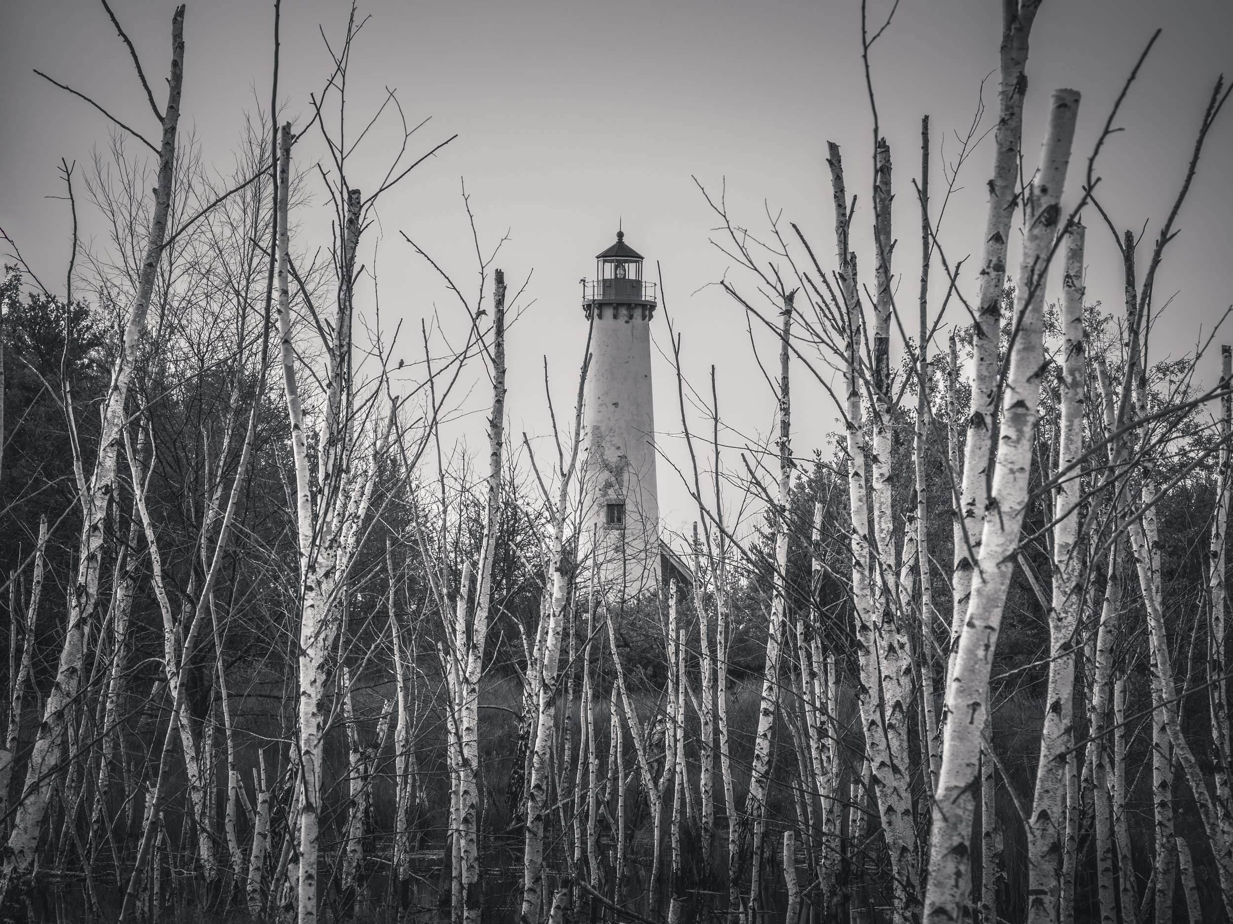 Tawas BW 4x3.jpg