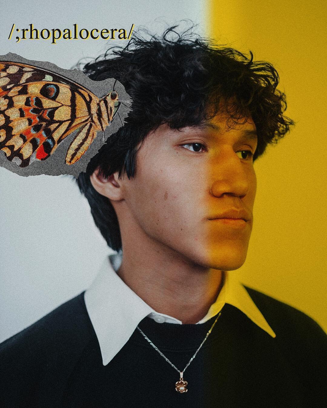/ rhopalocera: celestial bodies symbolizing endurance and change for different civilizations around the world/
&bull;
model: Sebastian Gudino @sebastian.gudino
&bull;
Image of butterfly: Created by Boris Smokrovic taken from unsplash.com
&bull;
Gear 