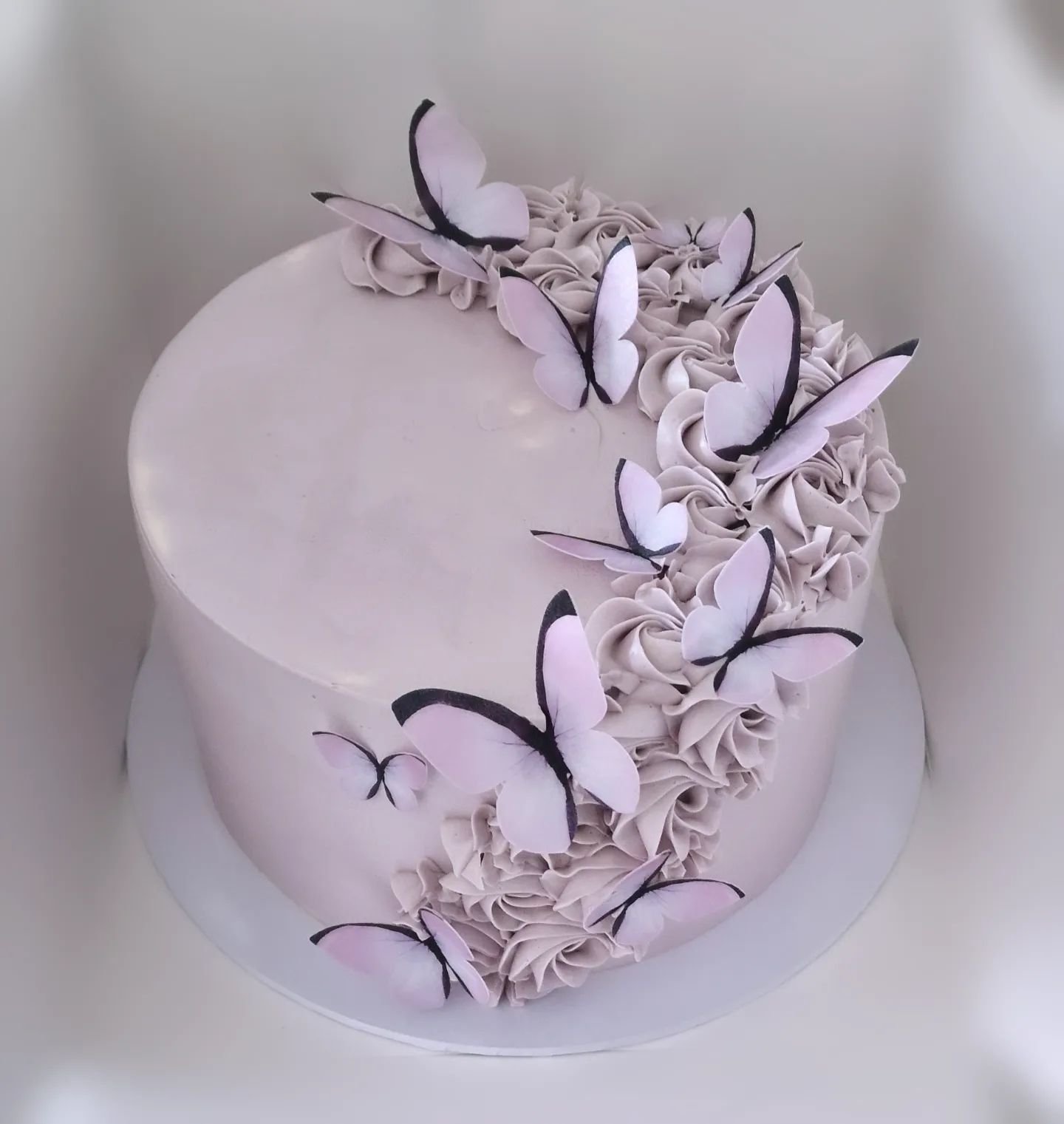 Lila perhosputouskakku 🦋

#butterflycake #smbc #birthdaycake #perhoskakku #syntt&auml;rikakku #marenkikreemi