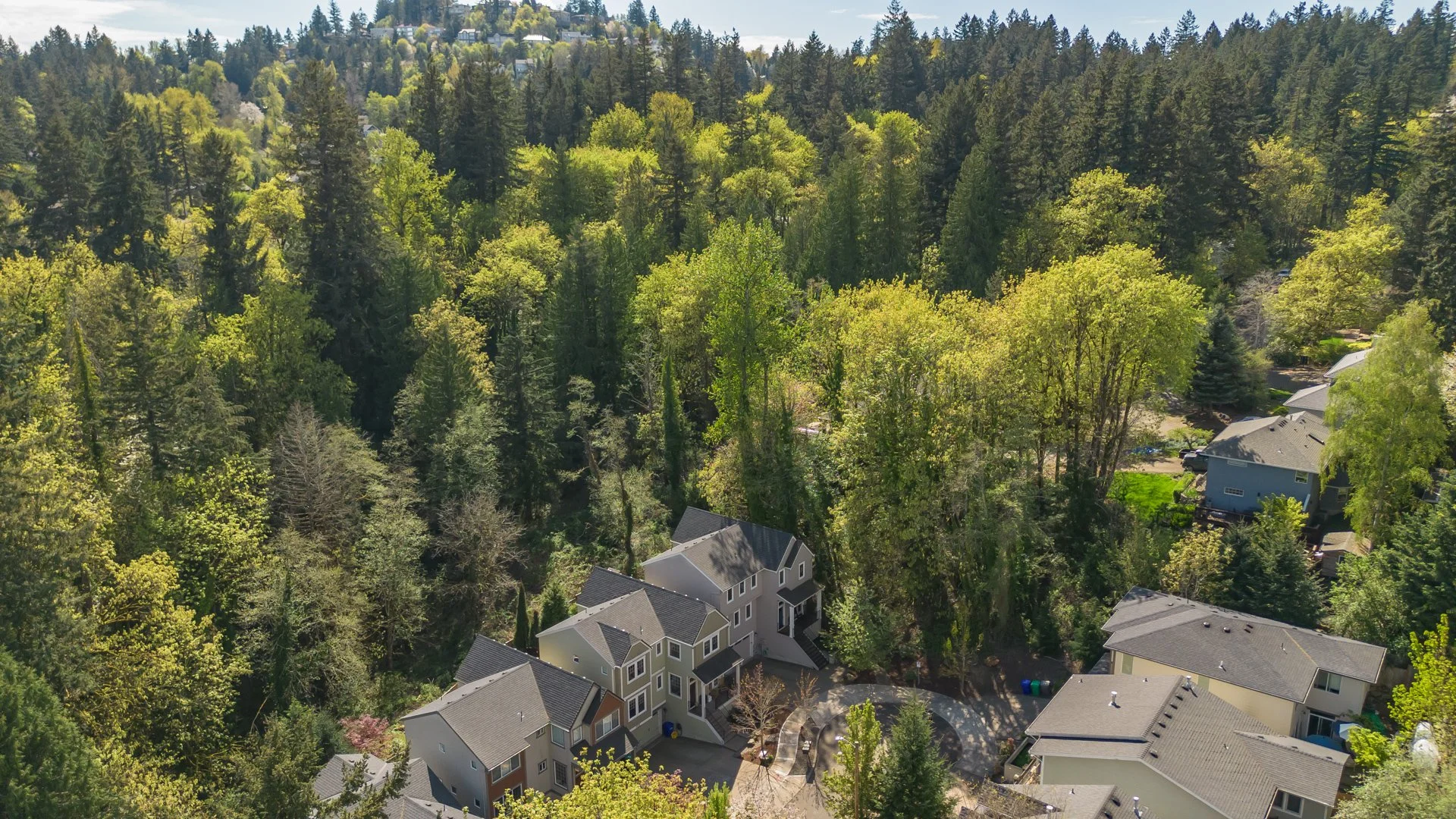 DJI_0693.jpg