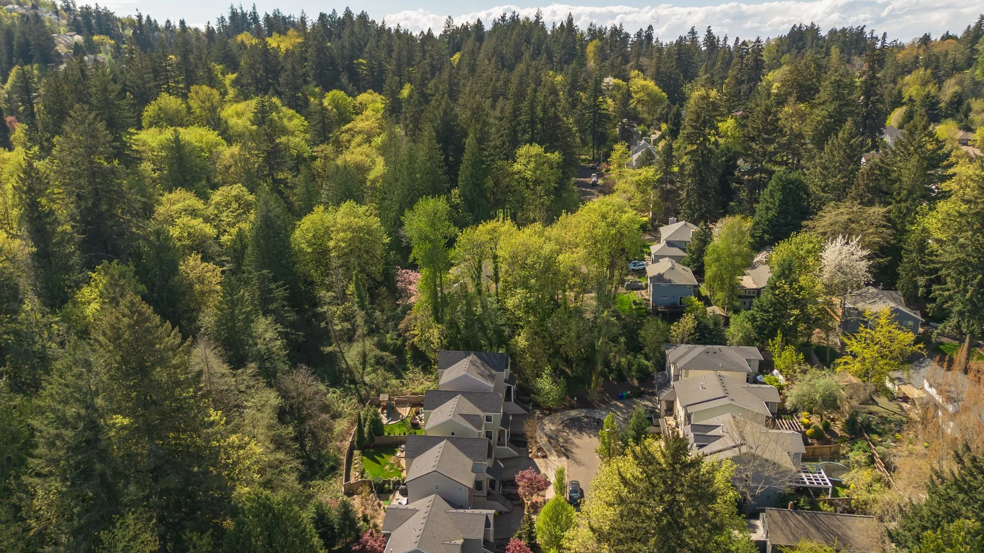 DJI_0694.jpg