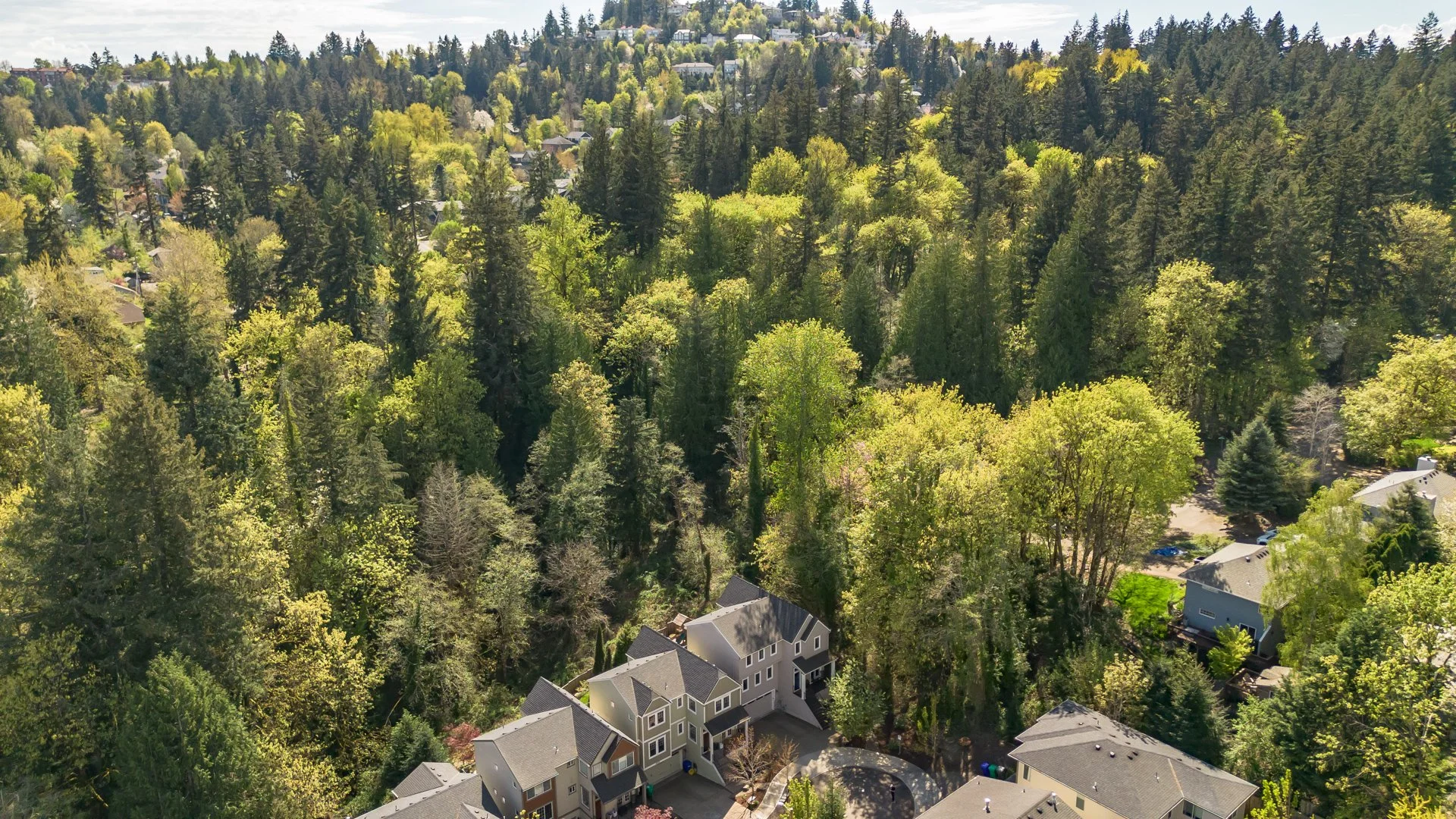 DJI_0696.jpg