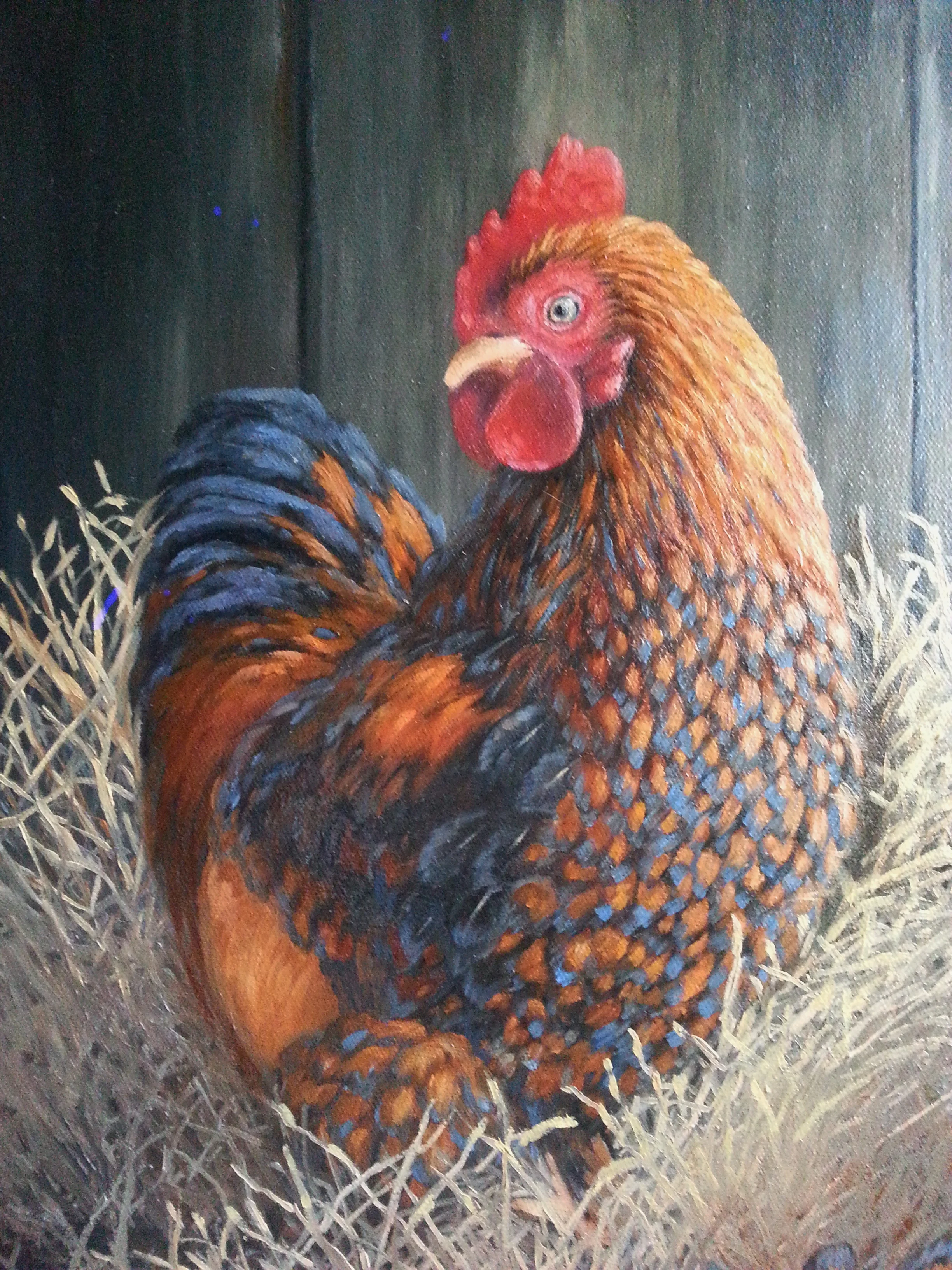 Chicken.jpg