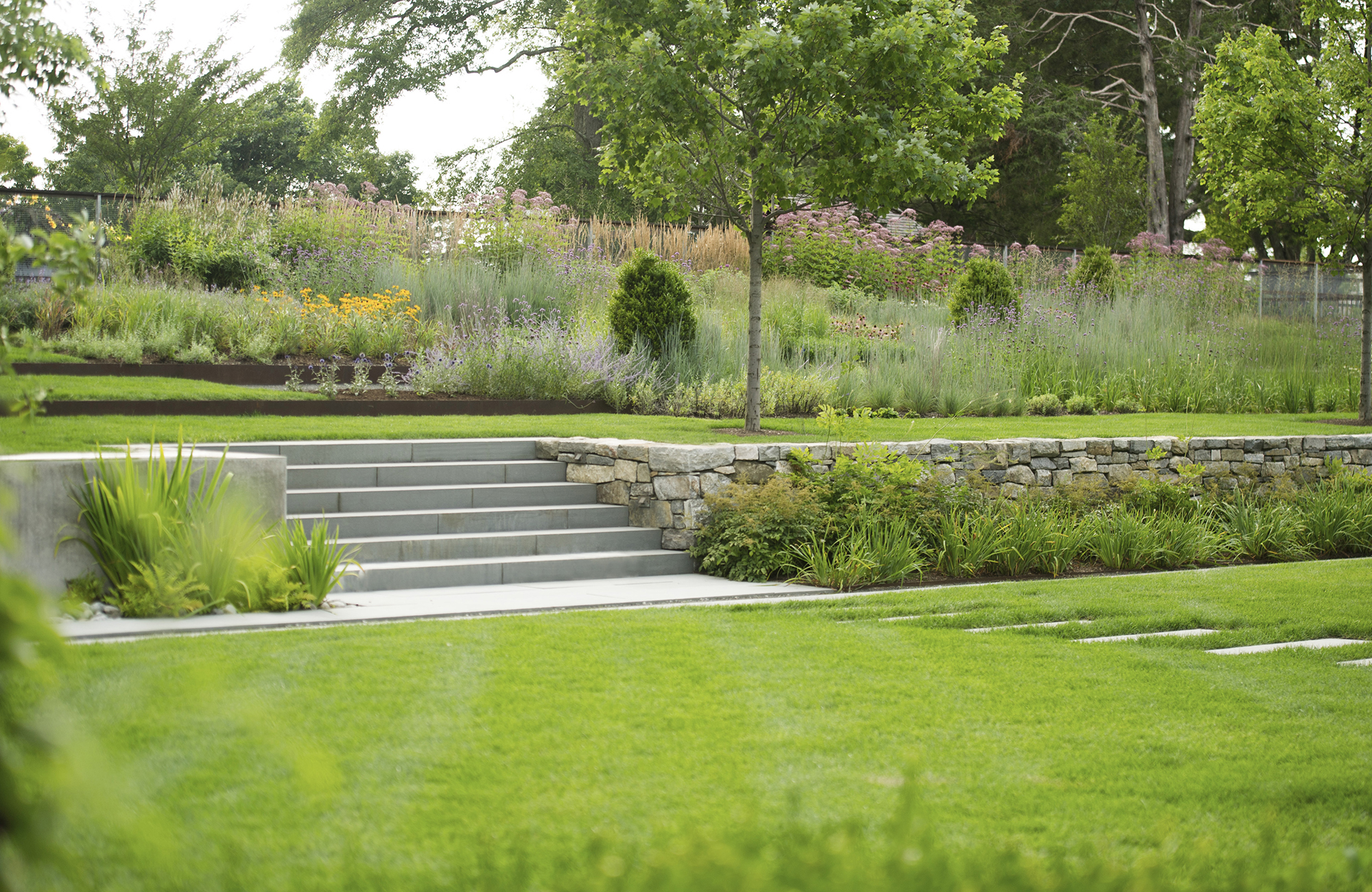 Amadeo-Meadow Farm_8.jpg