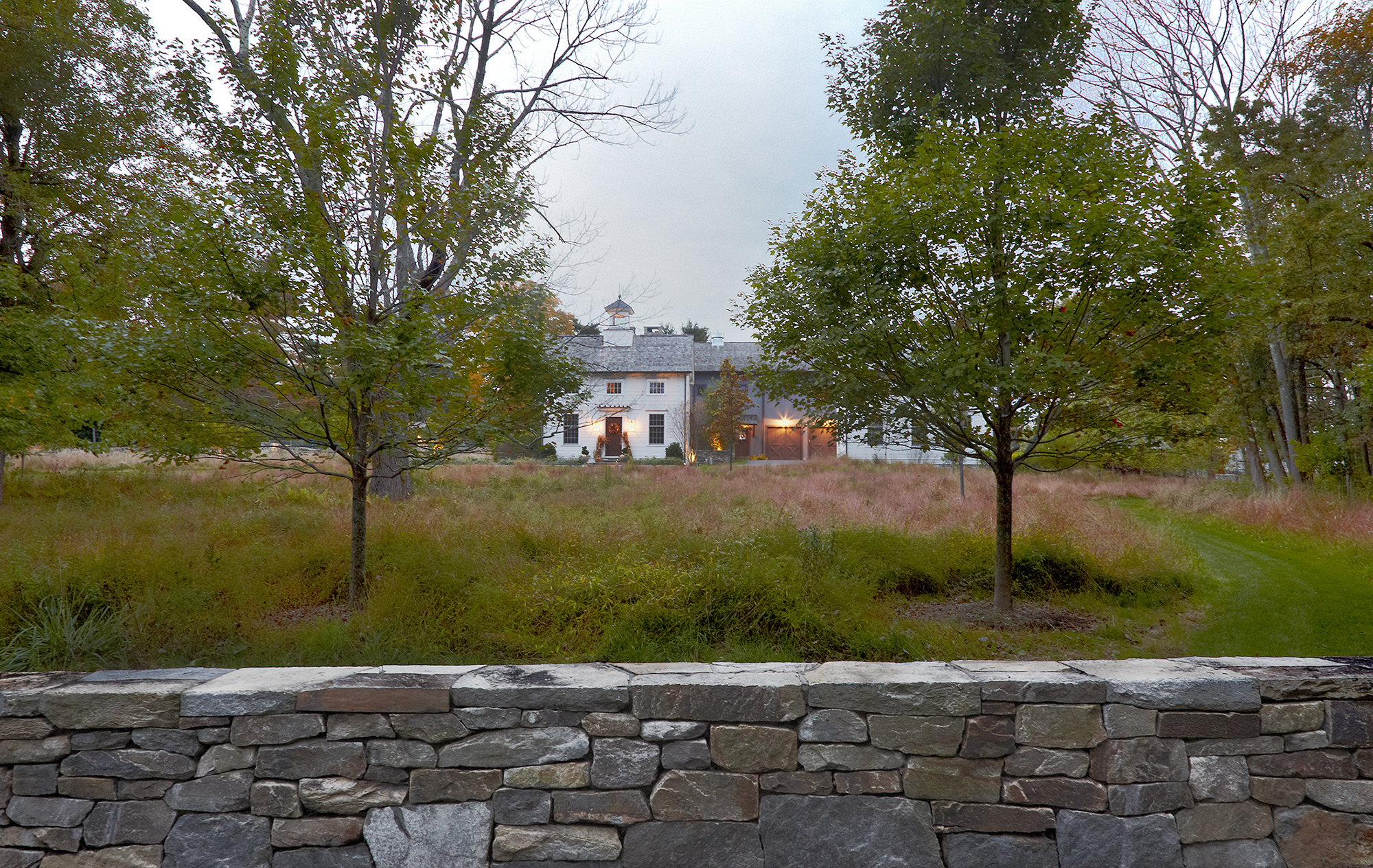 Amadeo-Meadow Farm_7.jpg