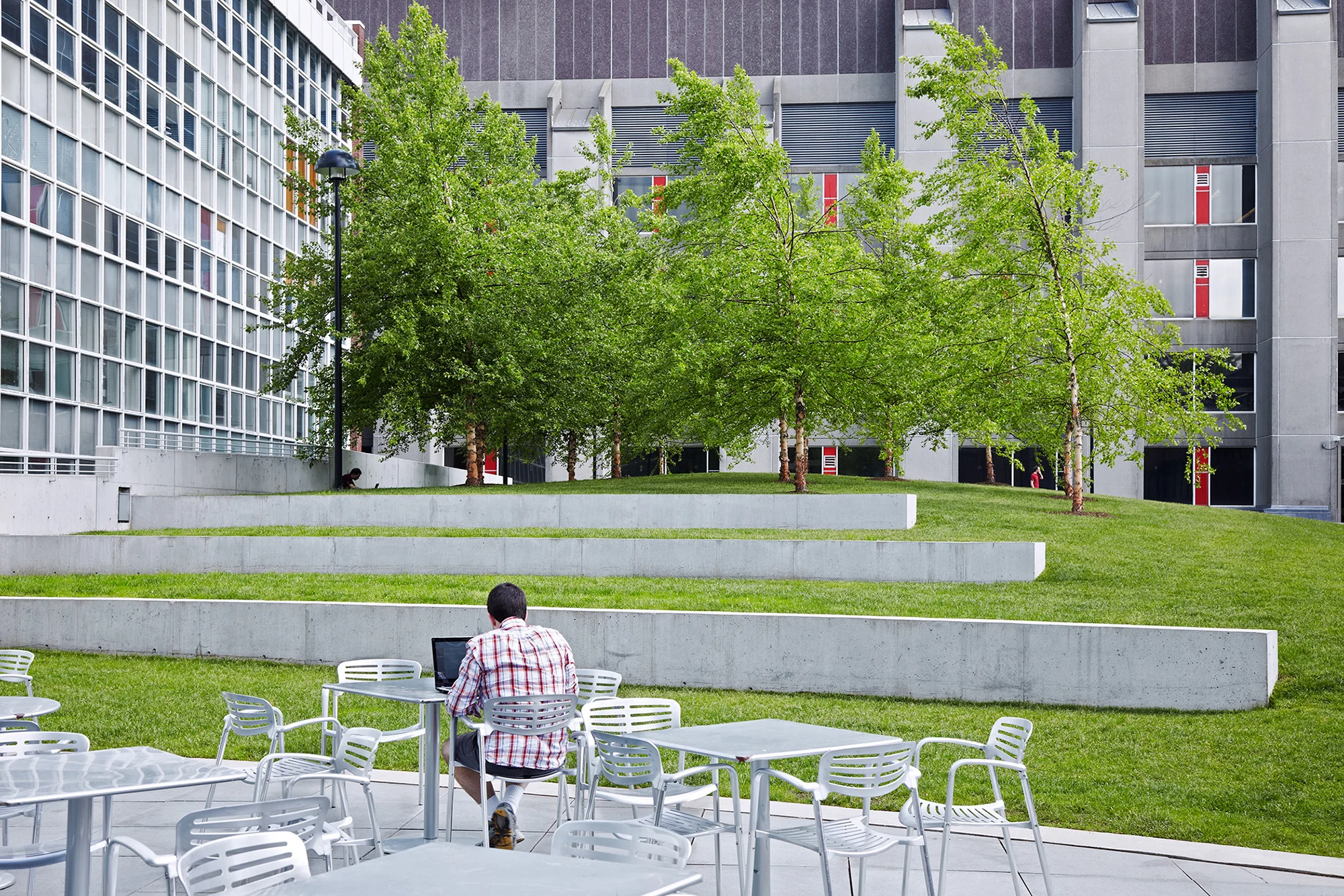 On the northern edge of Harvard’s campus, a different kind of quadrangle was conceived. A modern research lab is carefully inserted into the quadrangle’s existing collection of contemporary architecture. The three sculptural concrete towers form a portico as an entry to the quad from Oxford Street. Integration of architecture and landscape was achieved through landforms and pathways that reinforce the arcs of the towers. A gently sweeping path rising through the quad provides pedestrian movement from beneath the portico. A single landform, inspired by the New England glacial landscape, forms the core of the quad. A birch grove inhabits the landform and provides areas for shade, passive recreation and summer performances by the adjacent music department. Collaborators Rafael Moneo Architects Wilson Architects Photography Charles Mayer