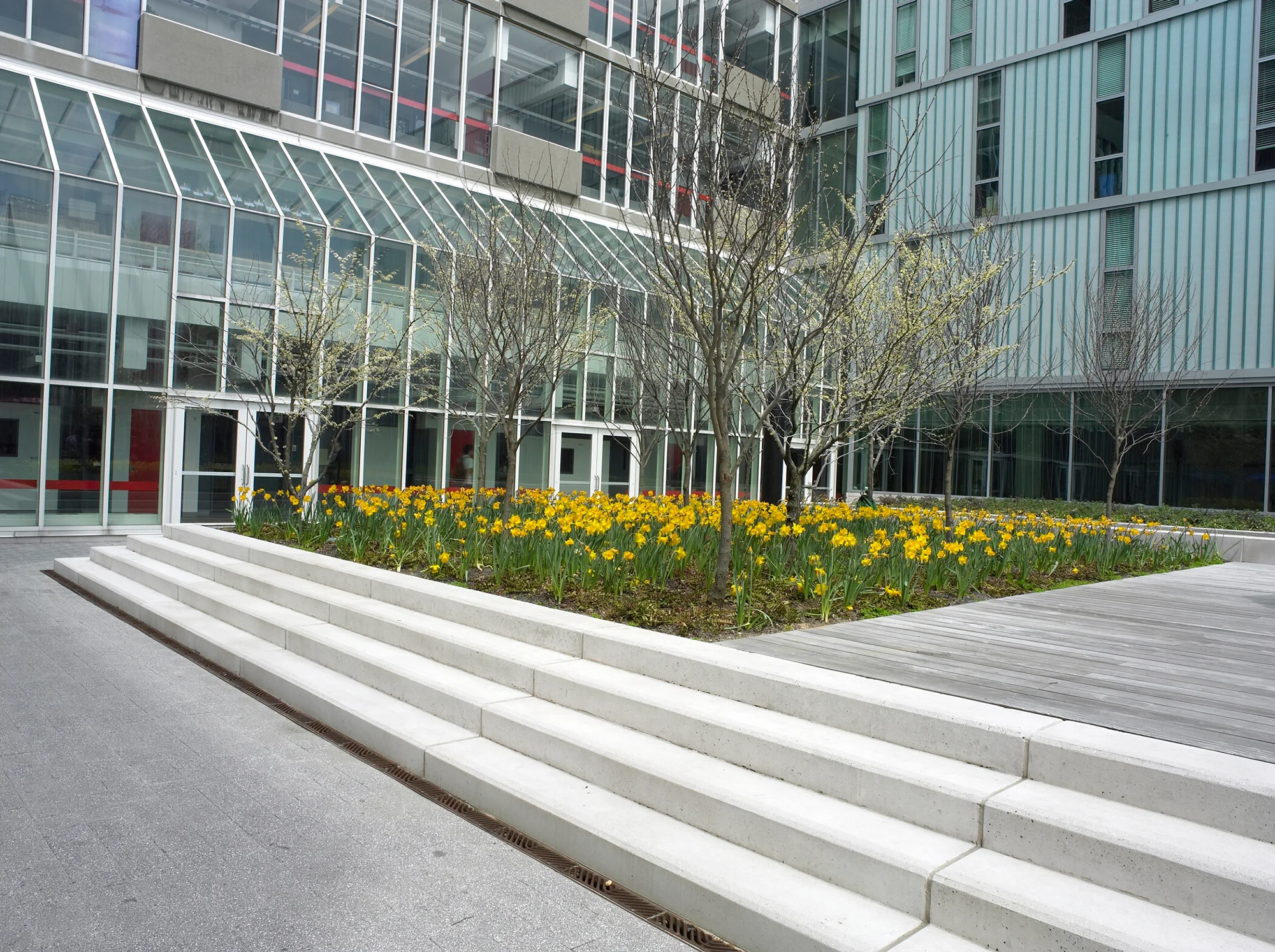 08_Harvard Science Center.jpg