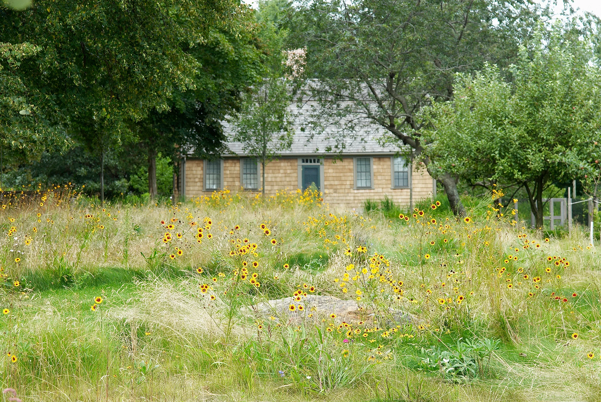 2_Long Meadow.jpg