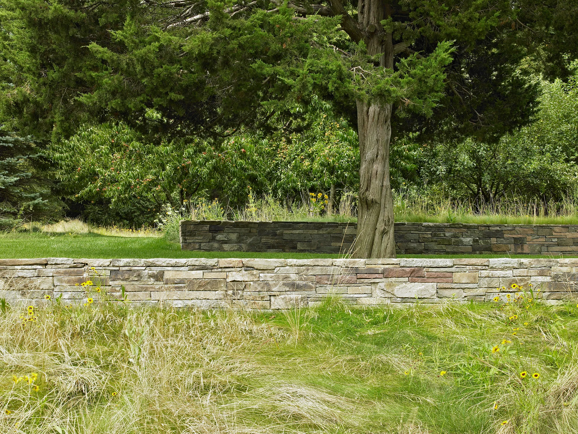 4_Long Meadow.jpg