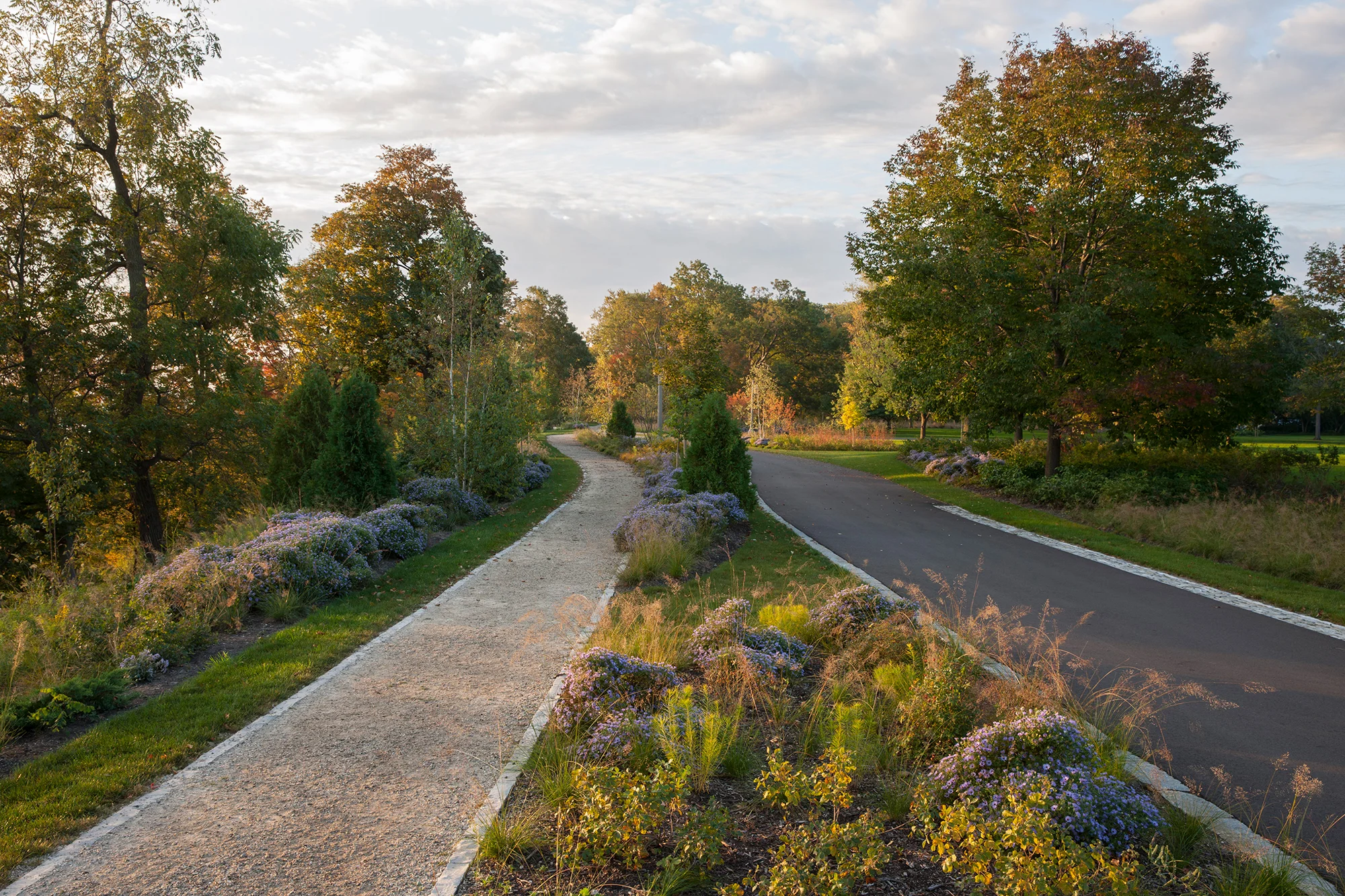 Forest Park 20 SS.jpg