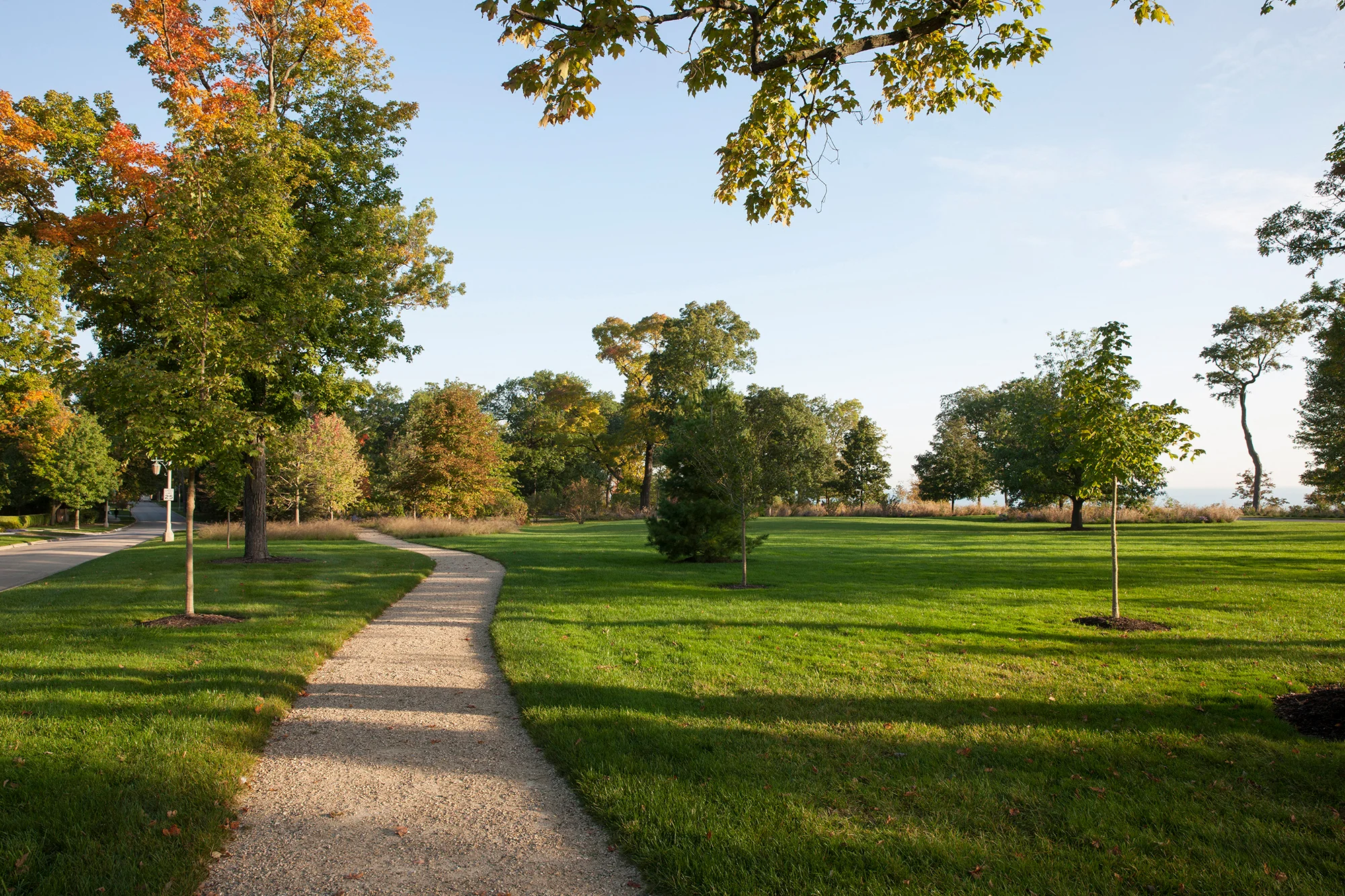 Forest Park 27 SS.jpg