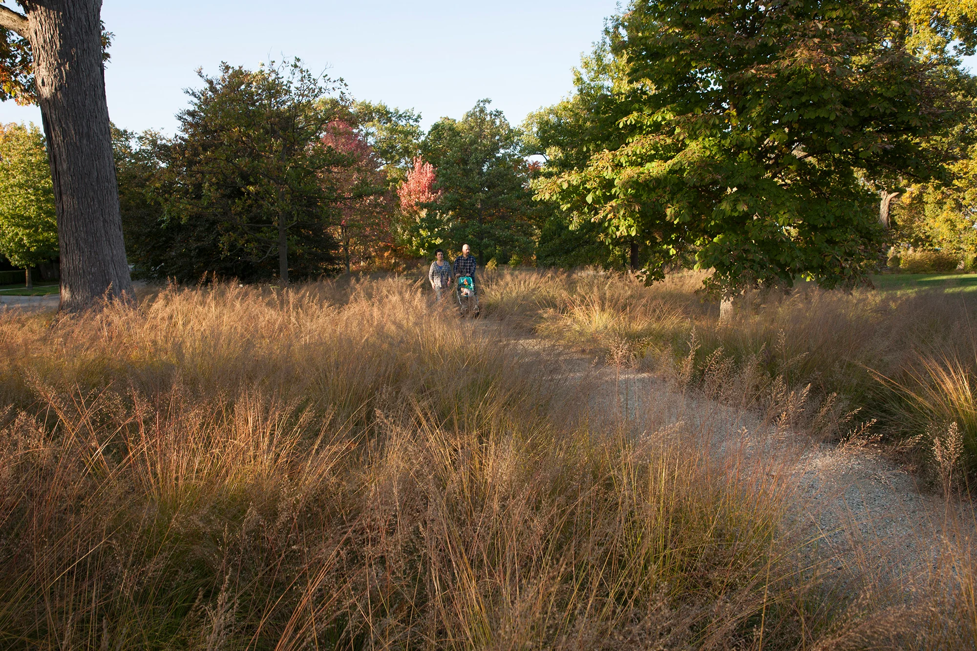 Forest Park 30 SS.jpg