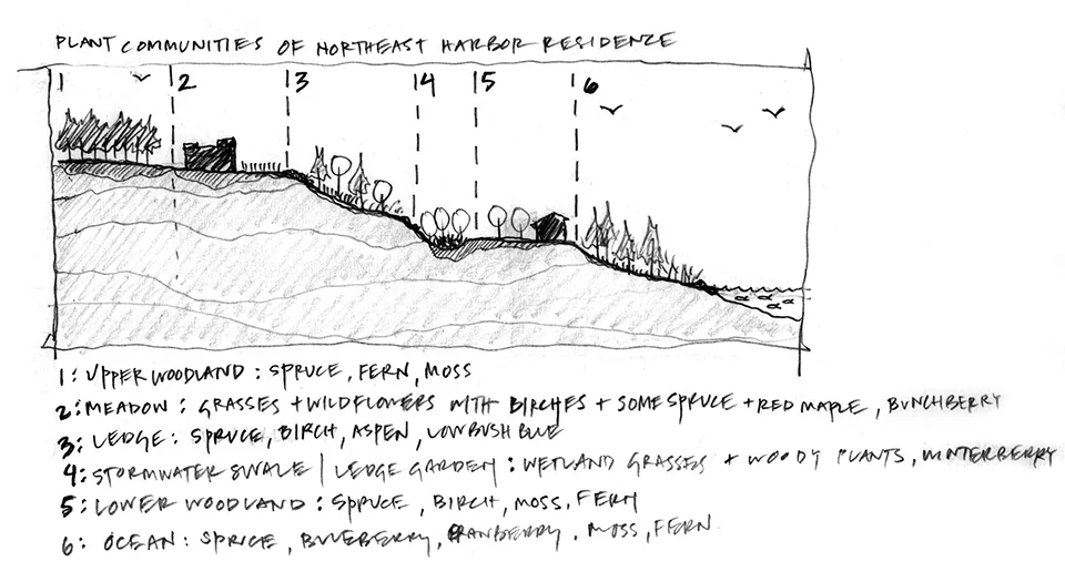 2_Northeast Harbor.jpg