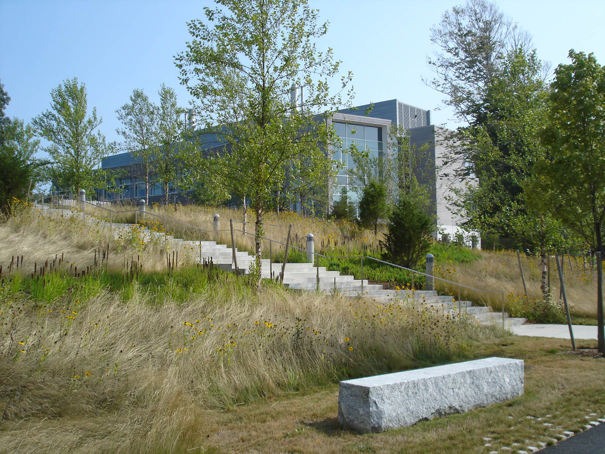 WHOI 15 pedestrian CP.jpg