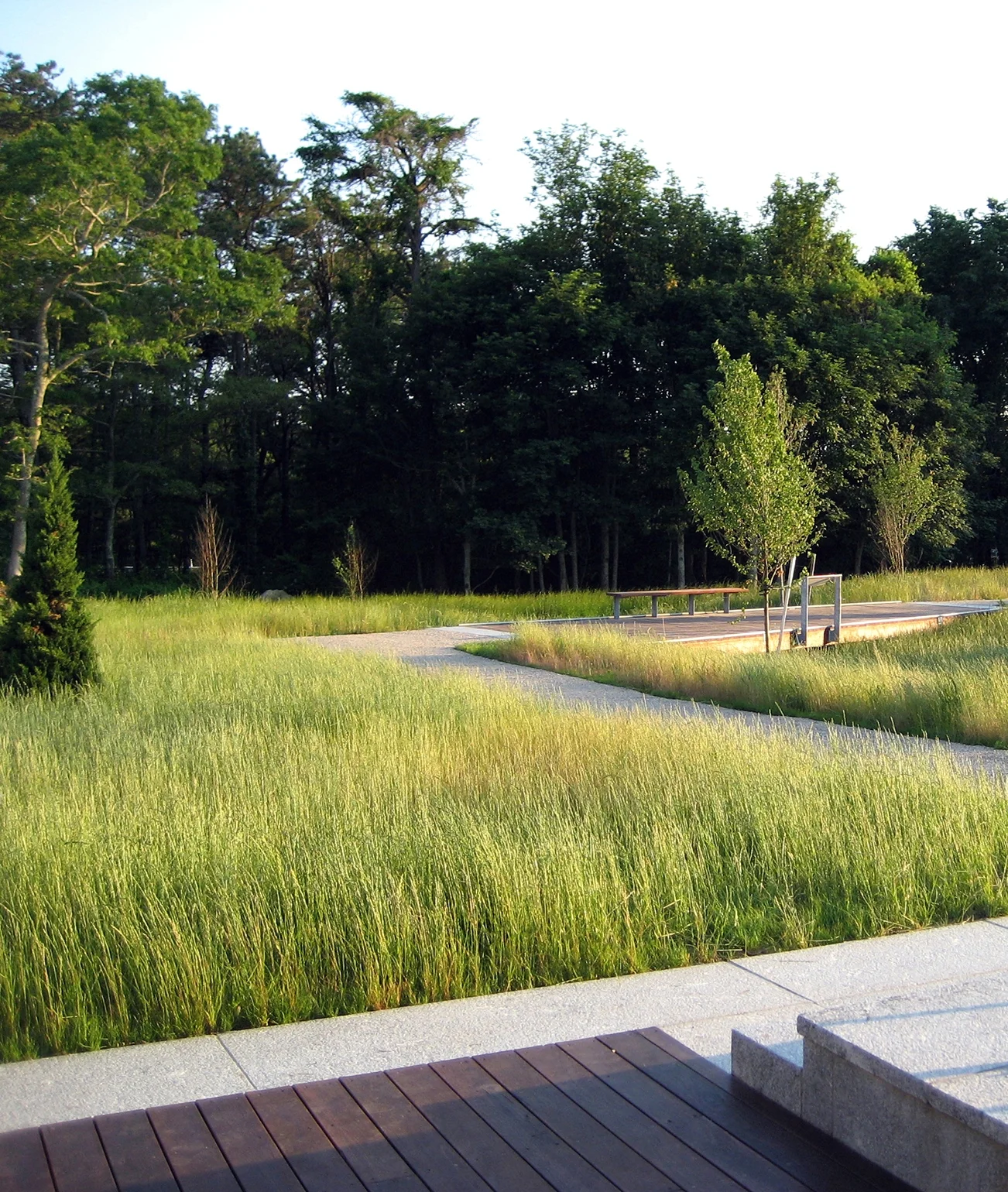 IFAW chose to restore a five-acre brownfield on the edge of a wildlife sanctuary for the new location of their proposed international headquarters. After extensive post-industrial cleanup and soil remediation the site has been restored to a naturalized condition. The 40,000 square foot building is arranged as three interconnected structures to reduce mass and create a south facing courtyard restored with meadow grasses within a drumlin, an indigenous sloping glacial landform. A native drought tolerant plant palette was selected for ecological benefits, reconnecting the site to the adjacent conservation lands, and providing an extension site for wildlife habitat. Runoff during rainfall flows into an engineered vegetated swale, where measured cleansing and infiltration occurs. This ethic offers a model for progressive stormwater management in an area burdened by brownfields in an area of sensitive water resources. Recognitions Boston Society of Landscape Architects | Merit Award 2009 Boston Society of Architects | Honor Award for Design Excellence 2009 Collaborators designLAB Architects Photography STIMSON