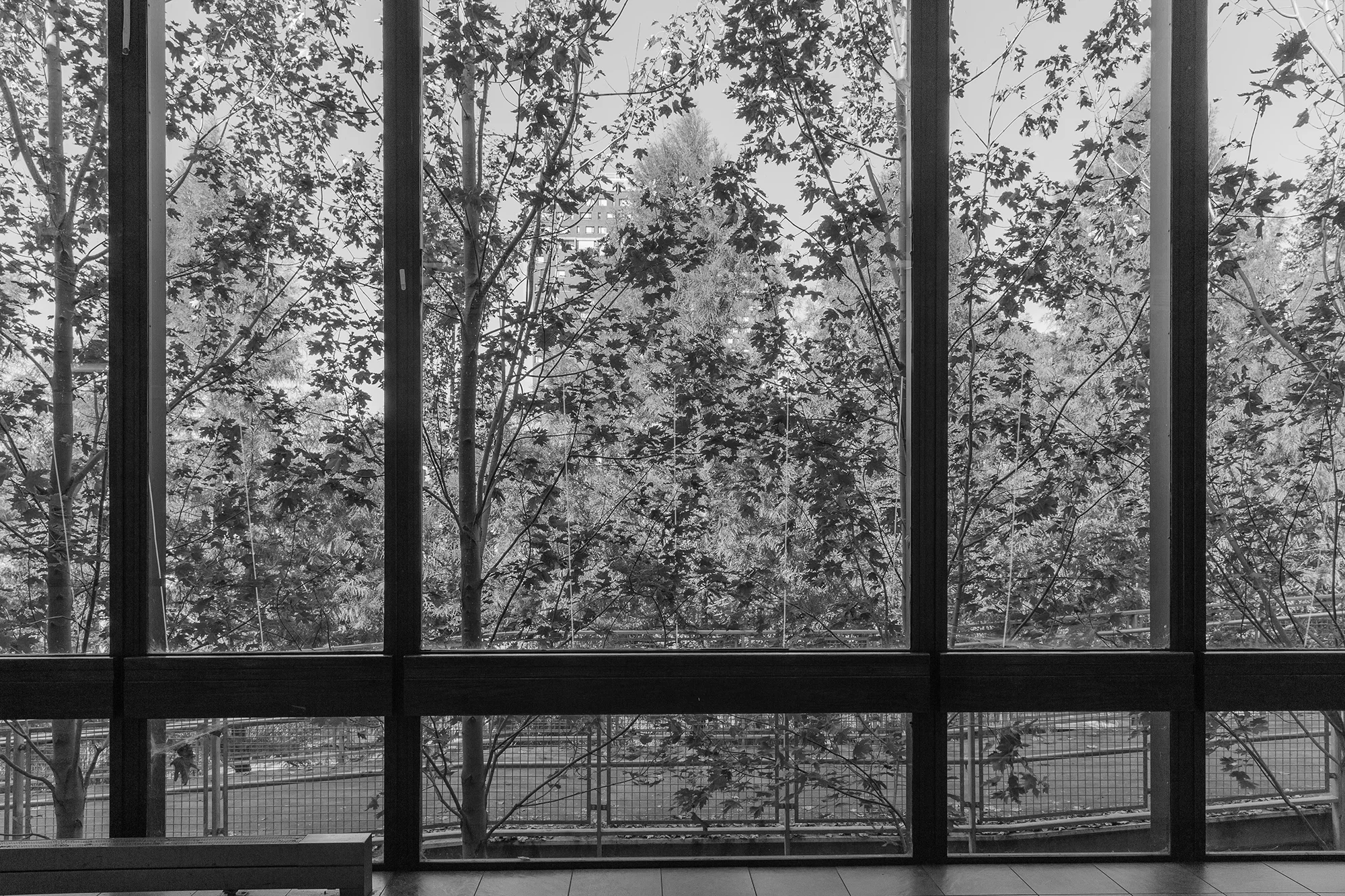 UMASS SW-1467bw.jpg