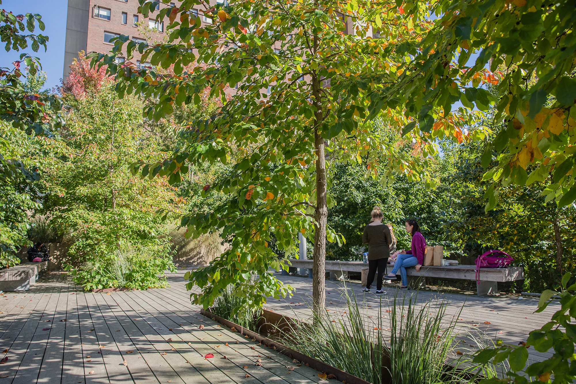 UMASS SW-1561.jpg
