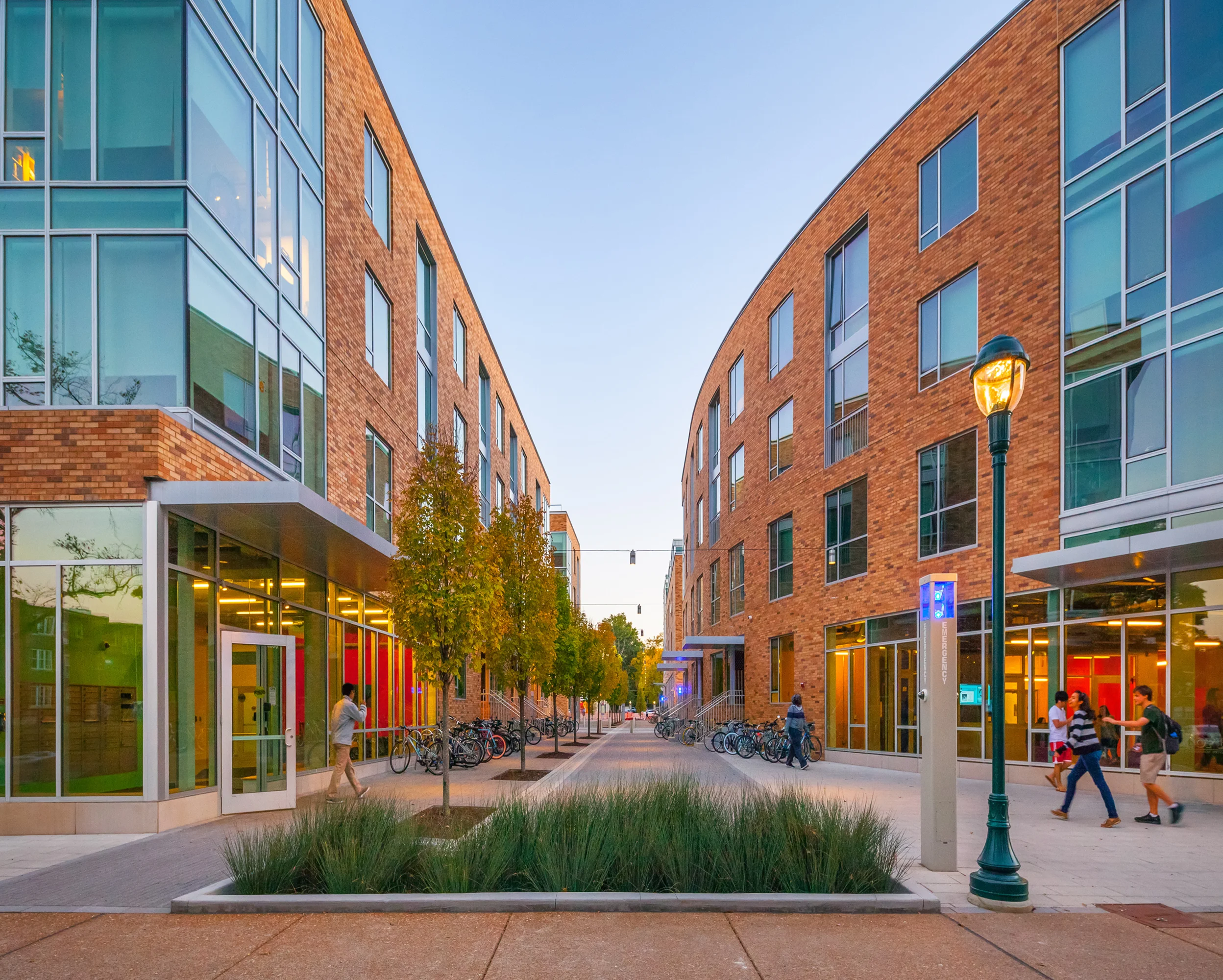 Washington U 14 North Rain Garden.jpg